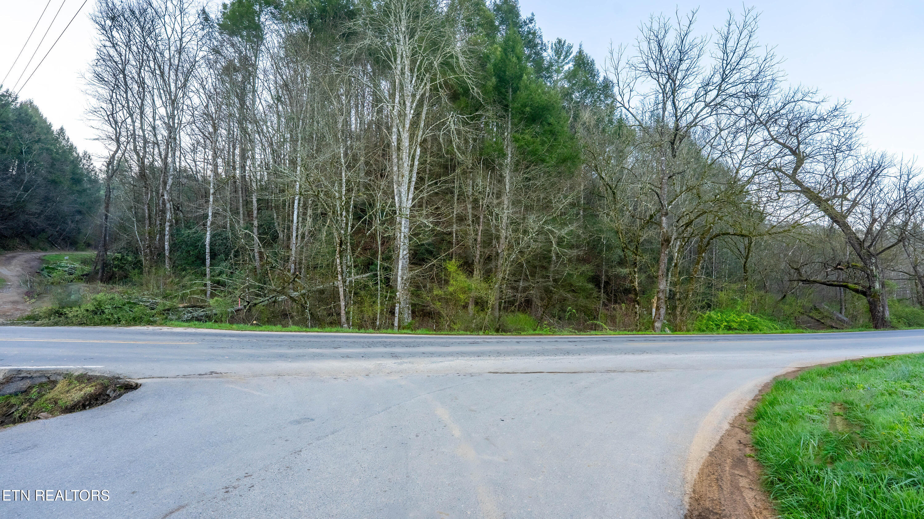Bogard Road Cosby TN 37722