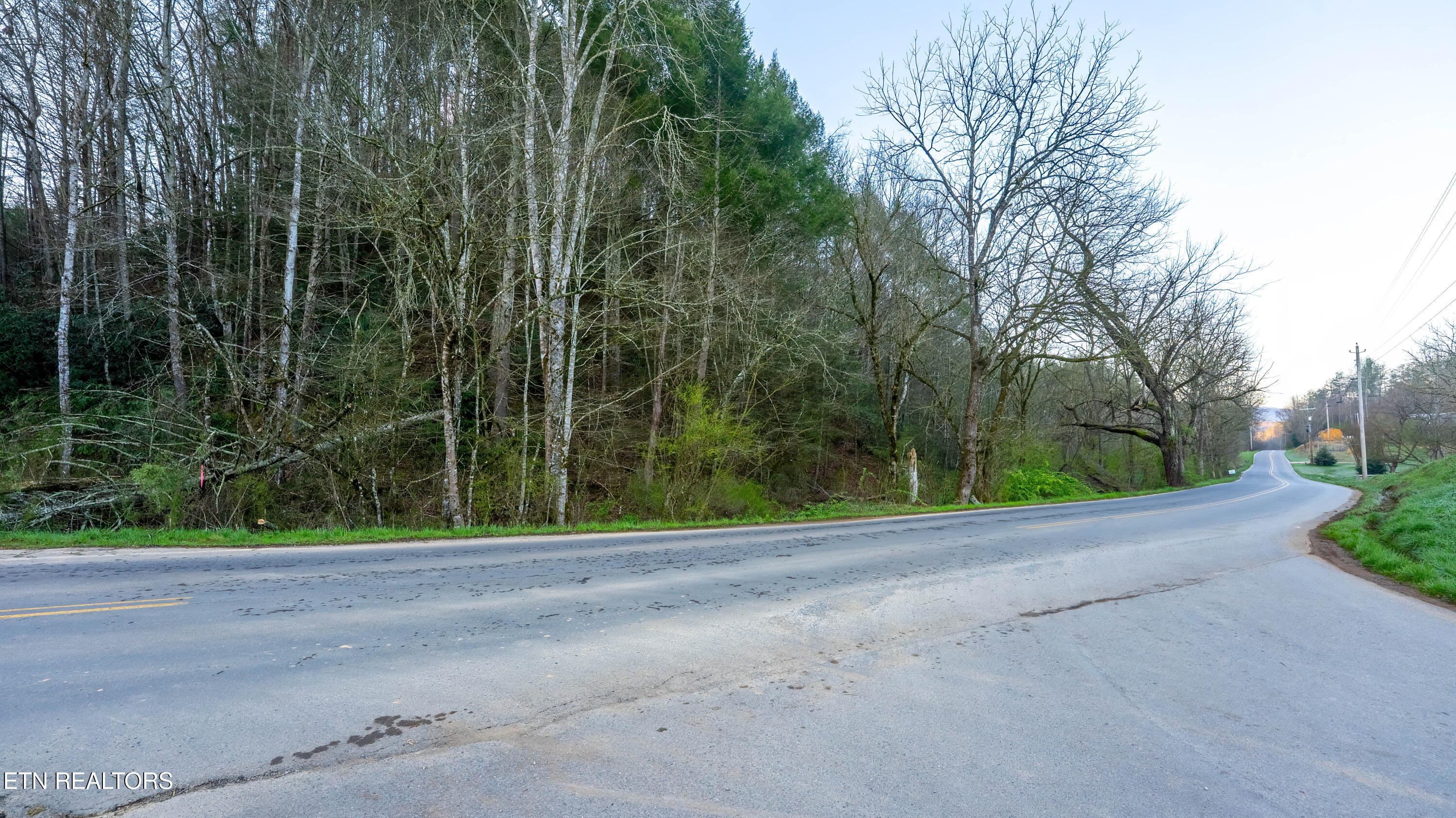 Bogard Road Cosby TN 37722