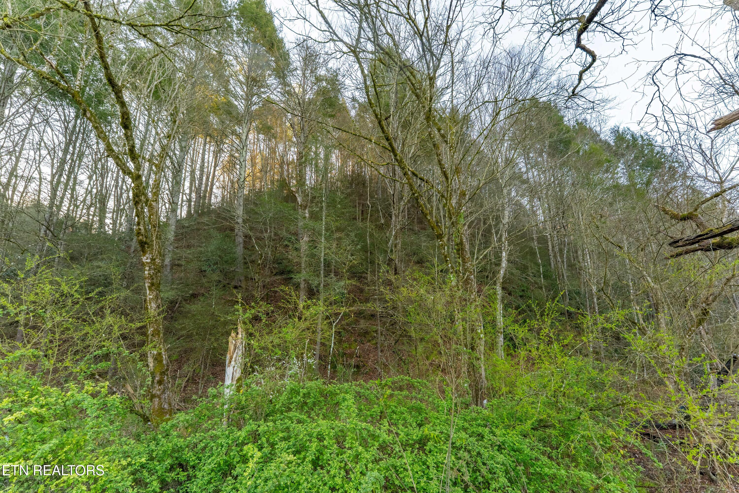Bogard Road Cosby TN 37722
