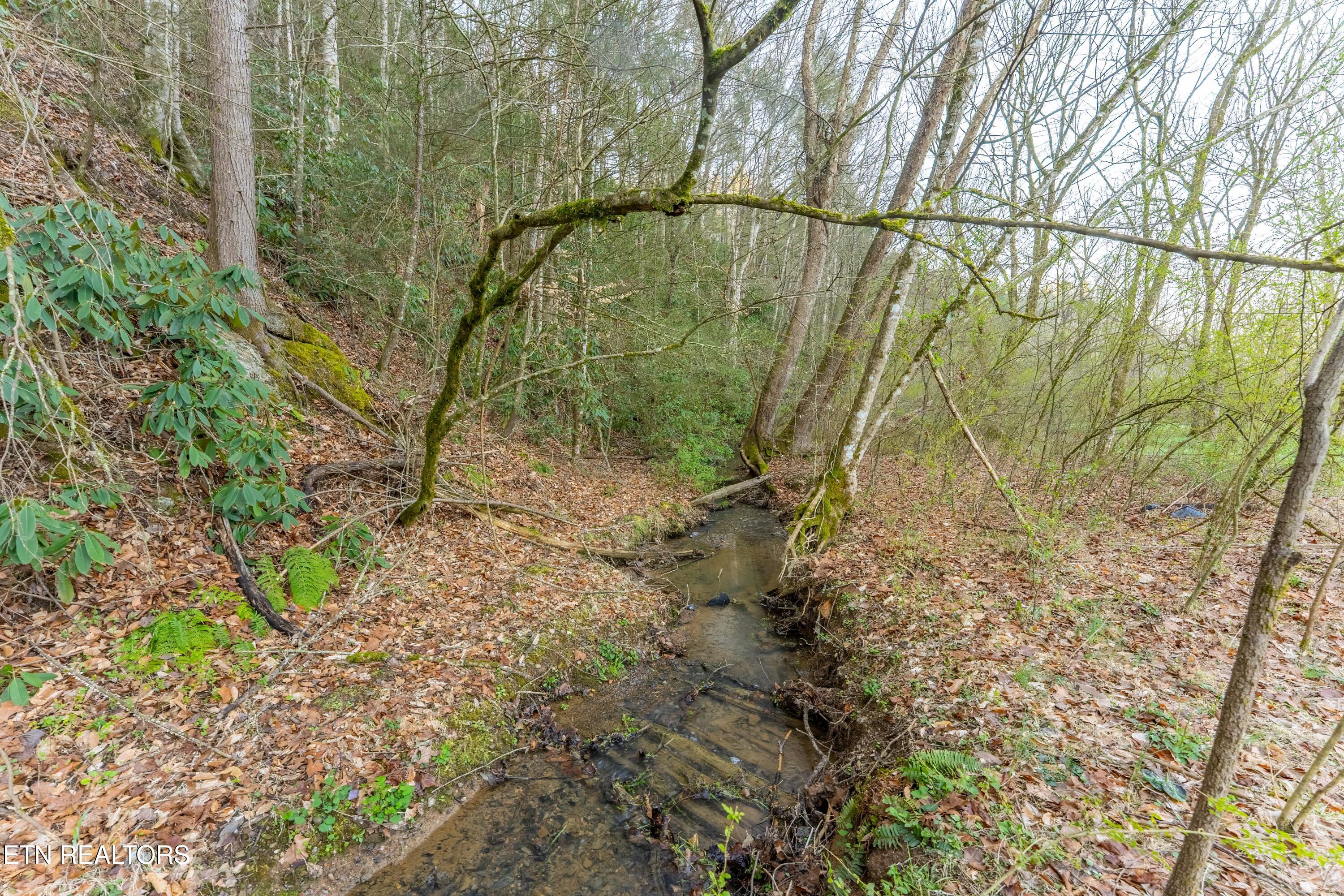 Bogard Road Cosby TN 37722