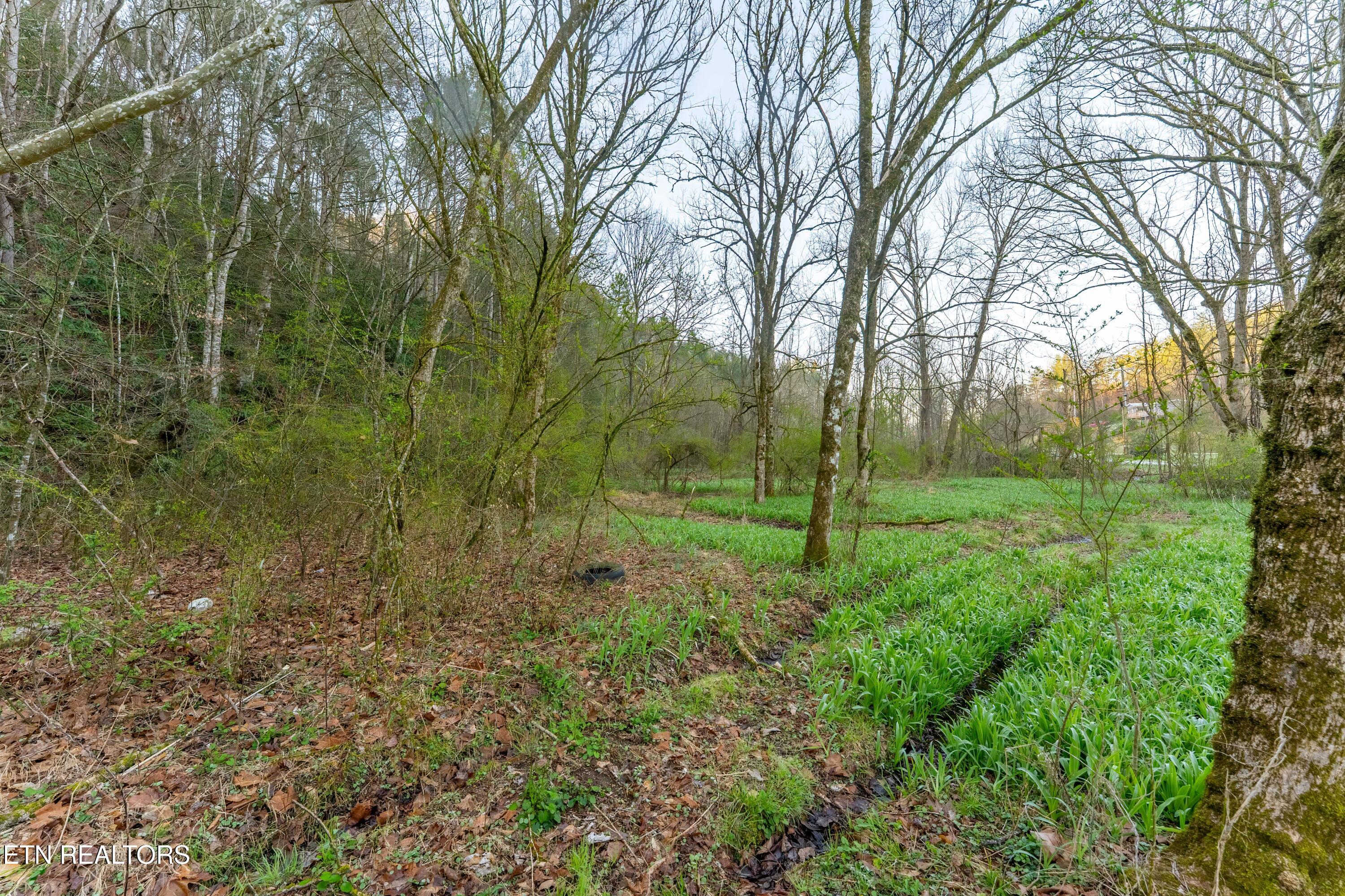 Bogard Road Cosby TN 37722