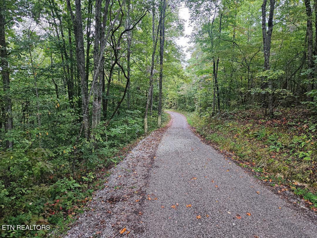 Sells Cemetery Road Wilder TN 38589