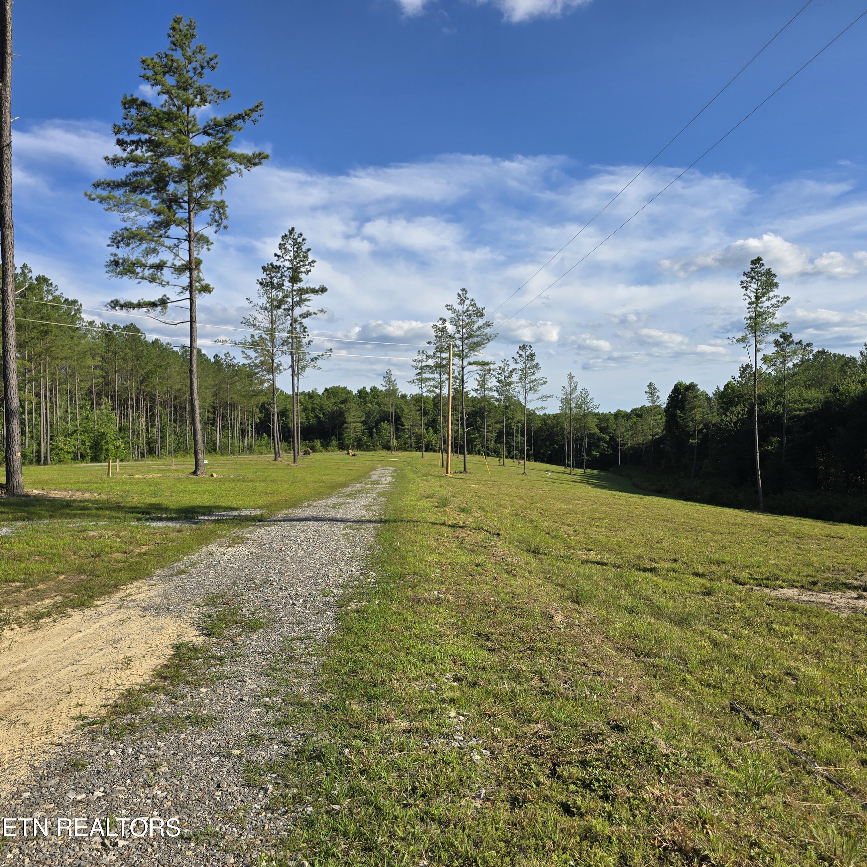 15+/- Ac Red Hill Road Sunbright TN 37872