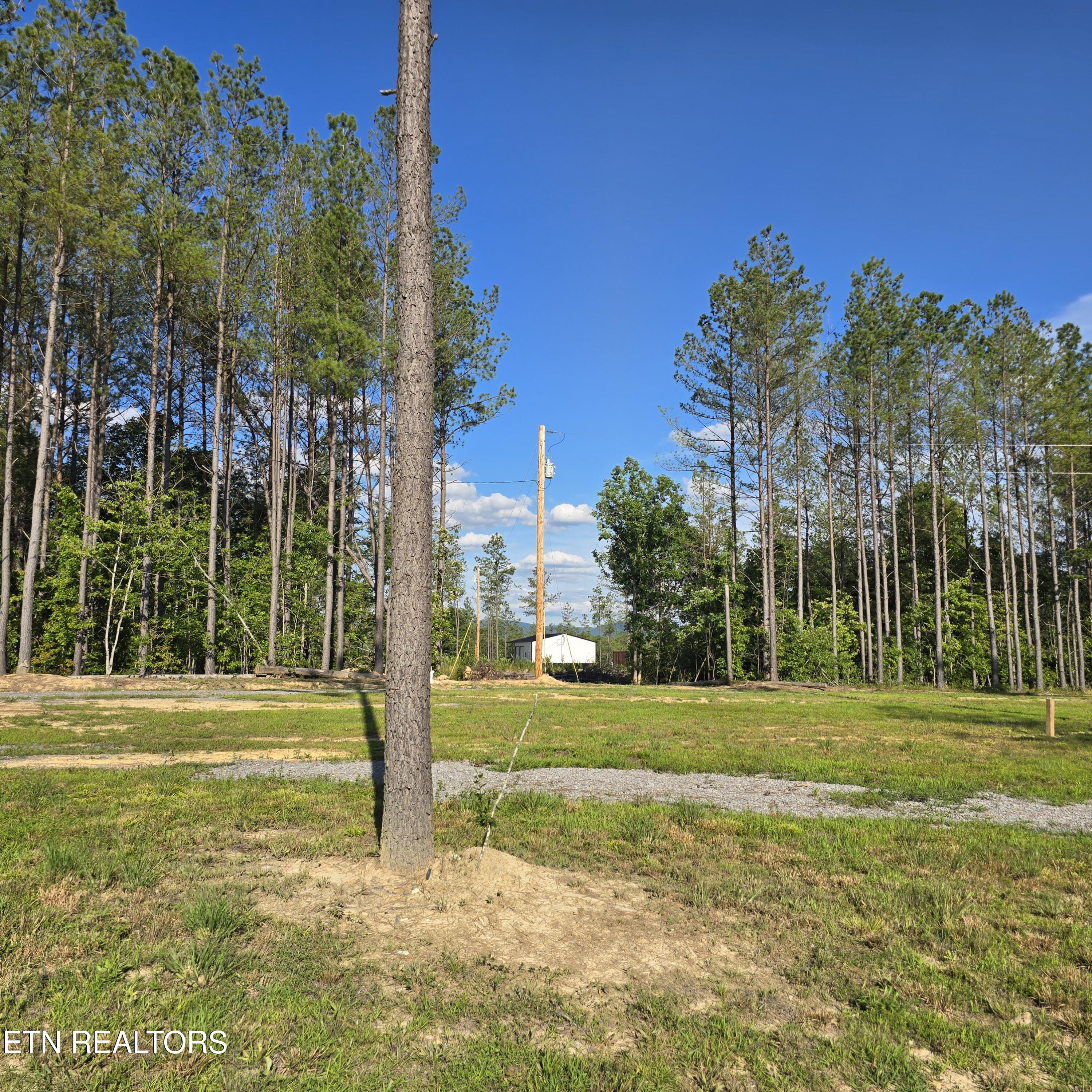 15+/- Ac Red Hill Road Sunbright TN 37872