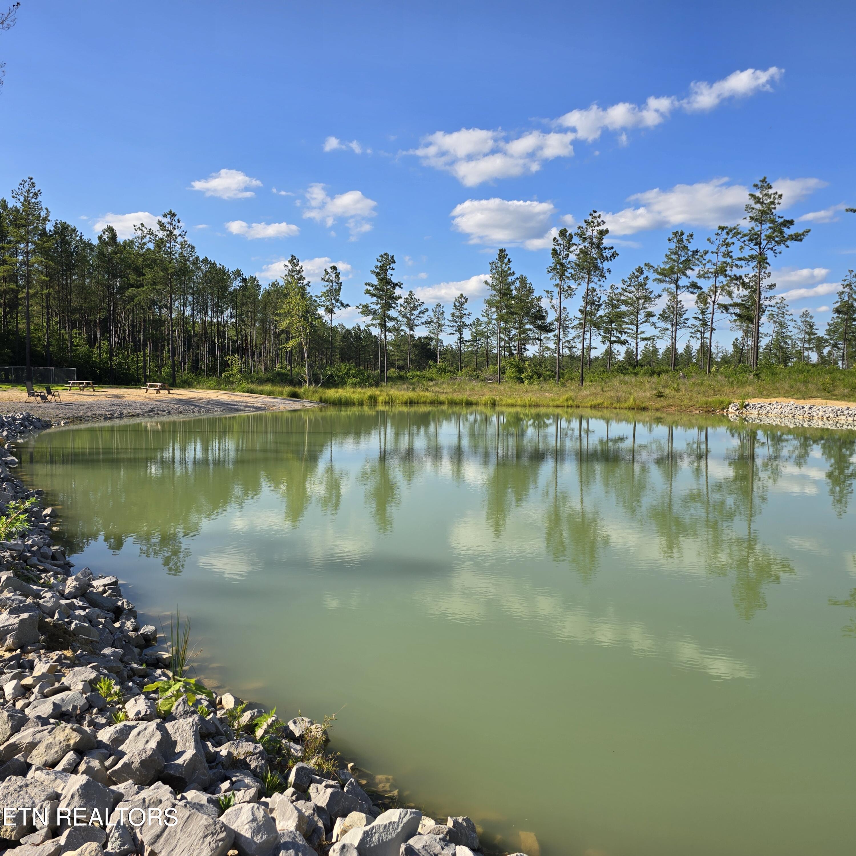15+/- Ac Red Hill Road Sunbright TN 37872