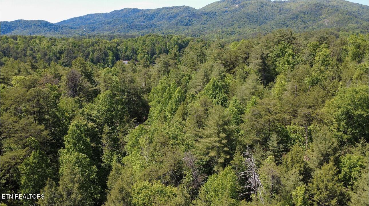 Rich Mountain Way Sevierville TN 37876