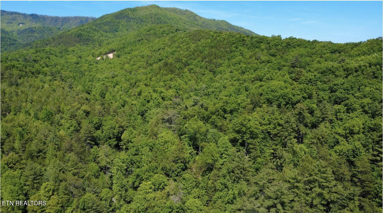 Rich Mountain Way Sevierville TN 37876