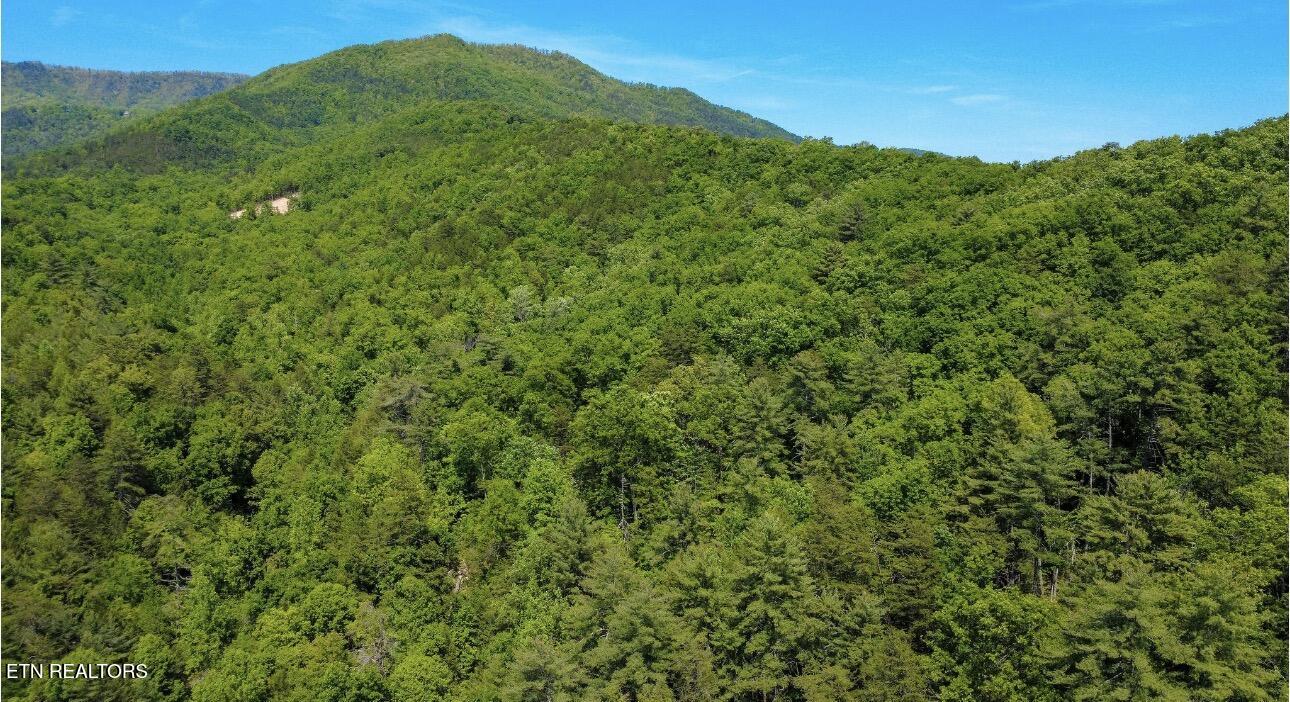 Rich Mountain Way Sevierville TN 37876