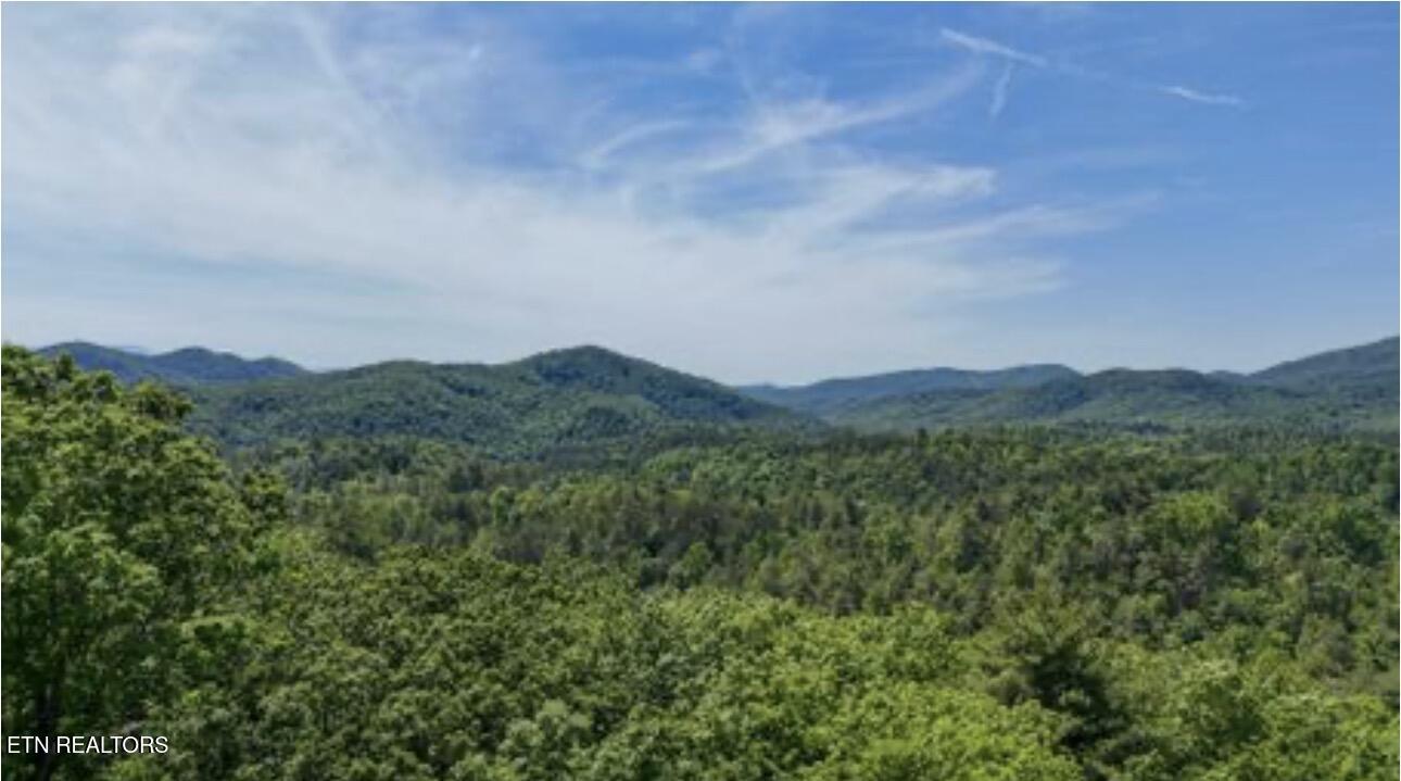 Rich Mountain Way Sevierville TN 37876