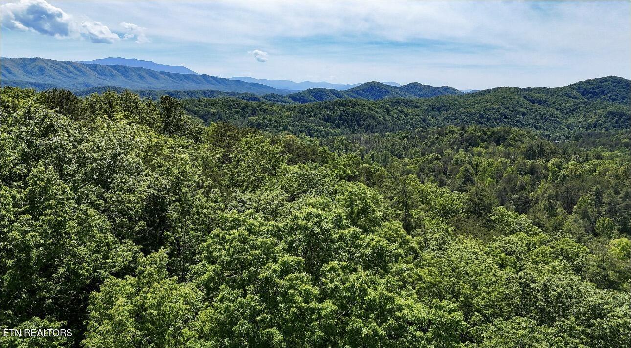 Rich Mountain Way Sevierville TN 37876
