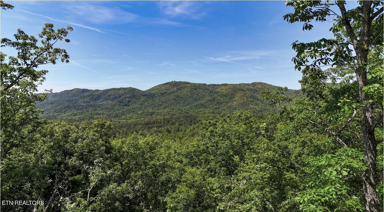 Rich Mountain Way Sevierville TN 37876