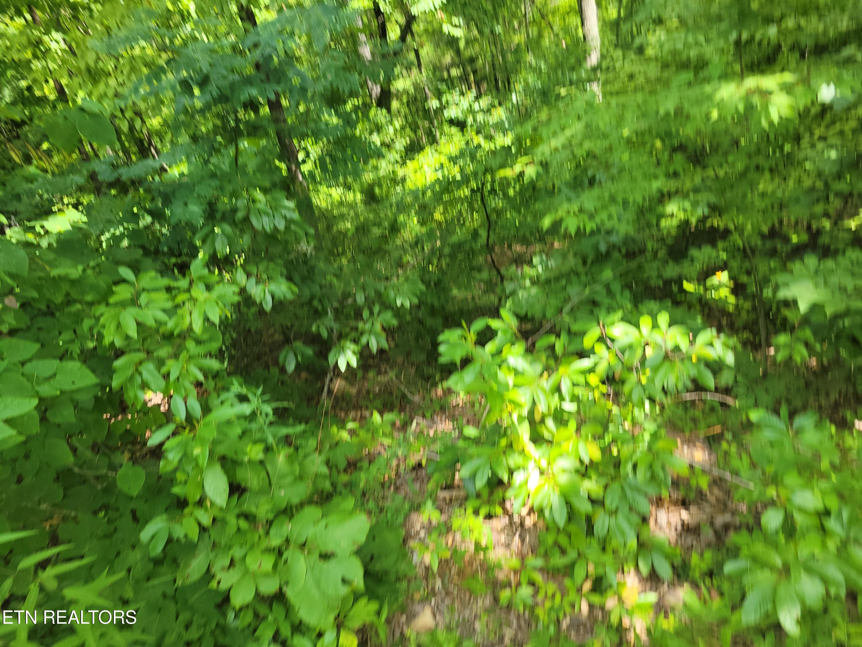 Lot 20 Hickory Tree Street Sevierville TN 37876
