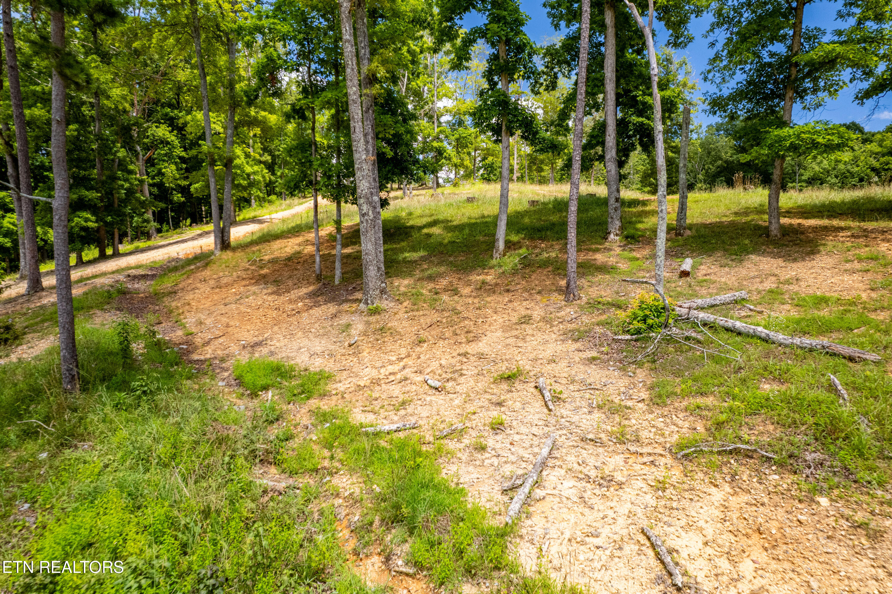 Lot 10 County Road 7004/7005 Athens TN 37303