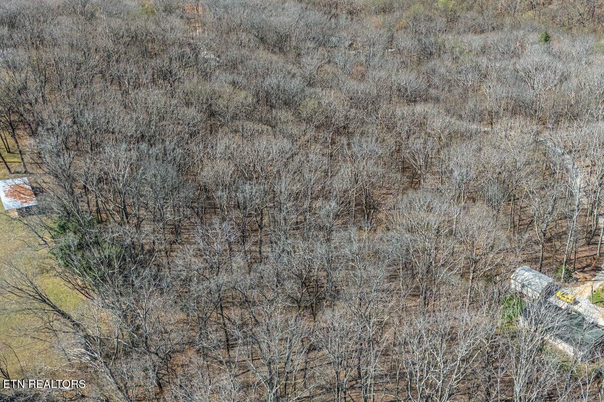 Fawn Rest Drive Rockwood TN 37854