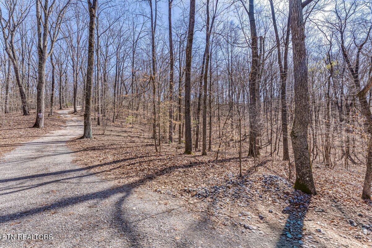 Fawn Rest Drive Rockwood TN 37854