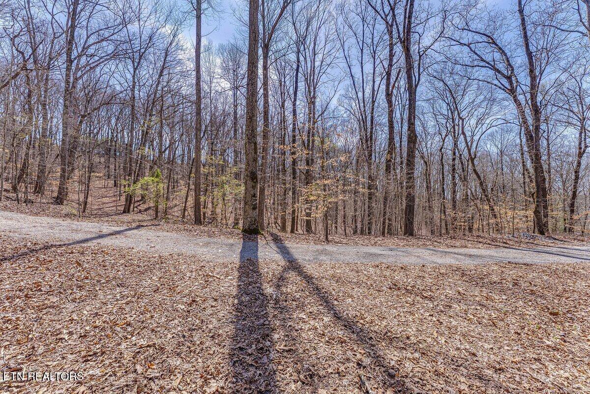 Fawn Rest Drive Rockwood TN 37854
