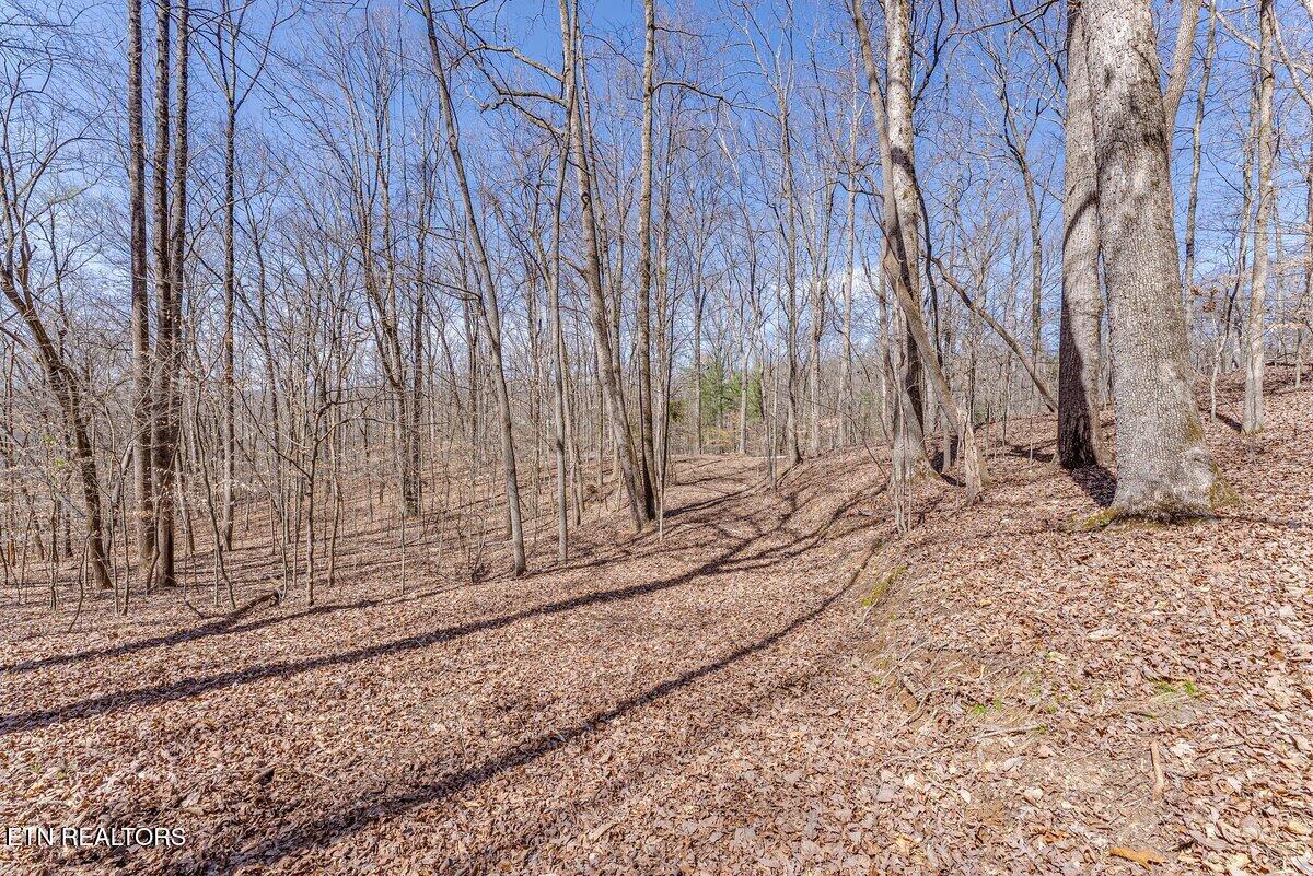 Fawn Rest Drive Rockwood TN 37854