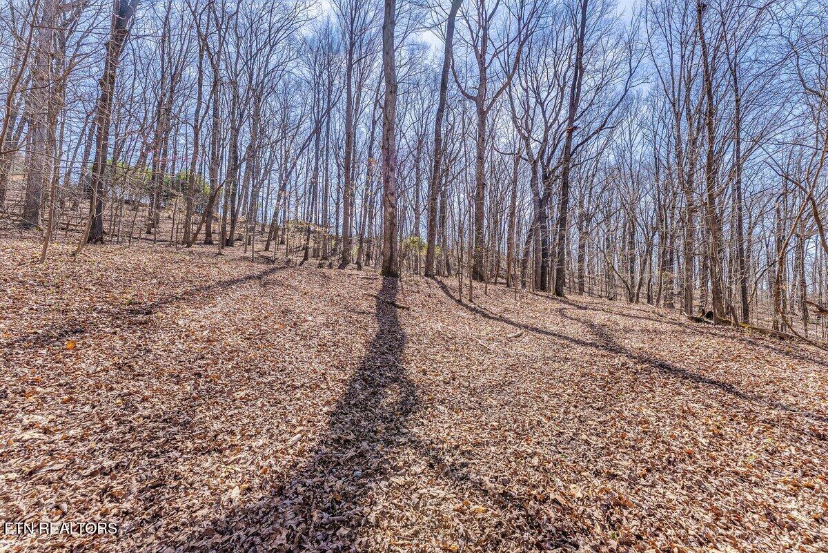 Fawn Rest Drive Rockwood TN 37854