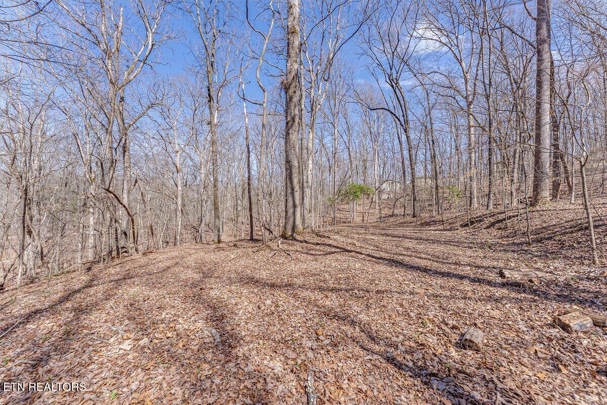 Fawn Rest Drive Rockwood TN 37854