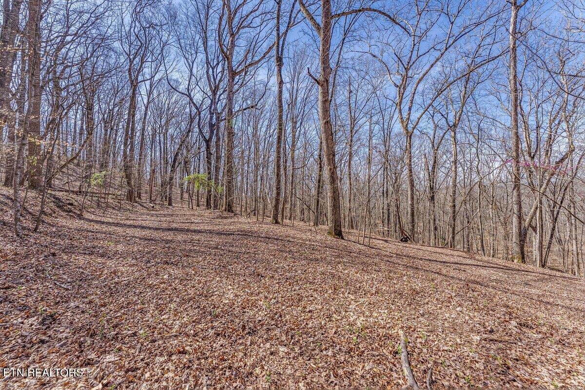 Fawn Rest Drive Rockwood TN 37854