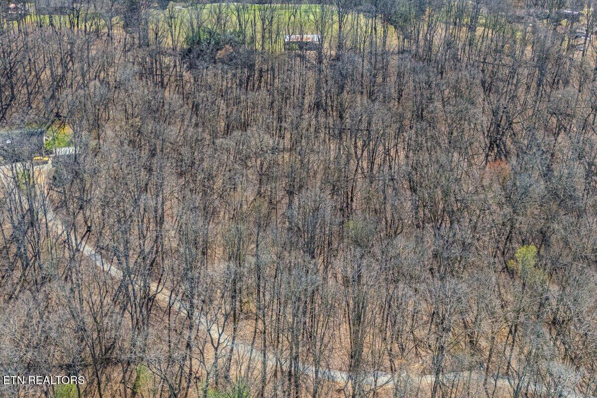 Fawn Rest Drive Rockwood TN 37854