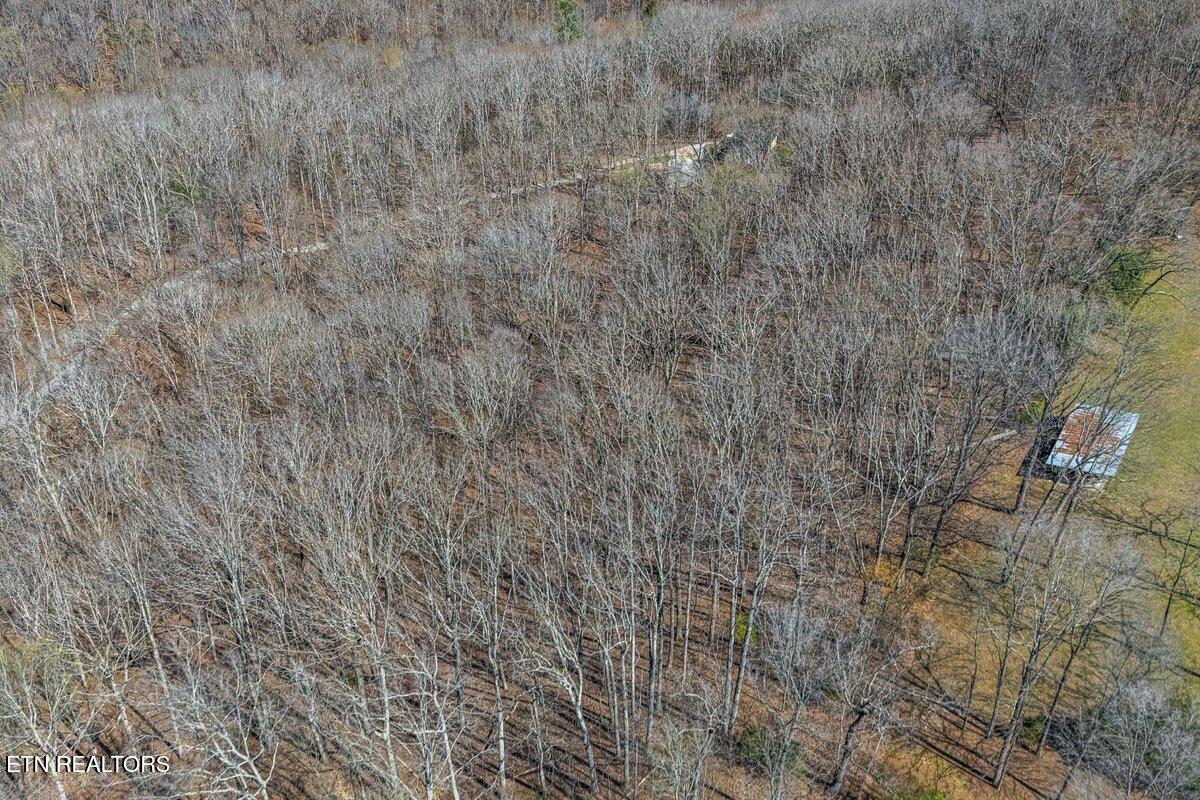 Fawn Rest Drive Rockwood TN 37854