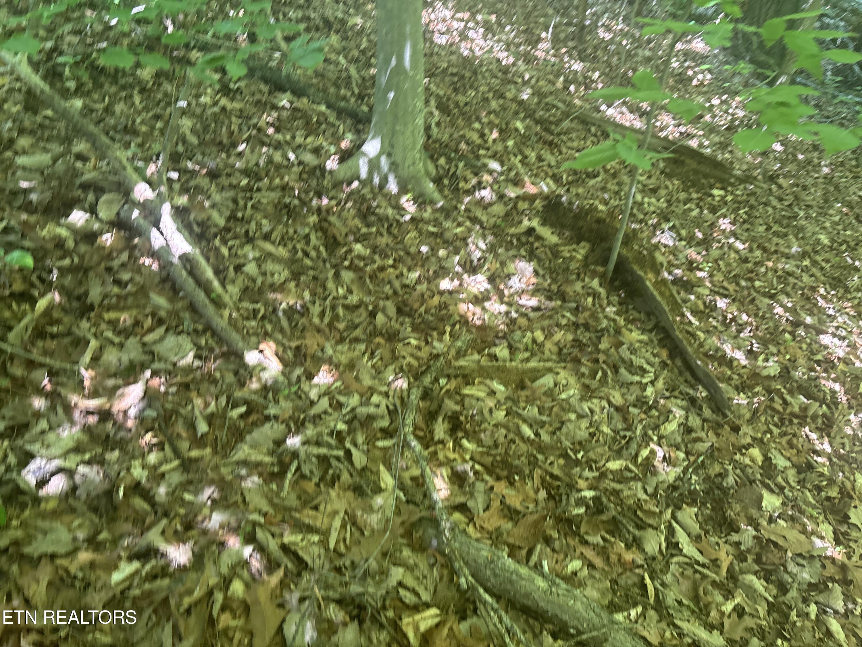 1160 Navy Drive SW Knoxville TN 37920