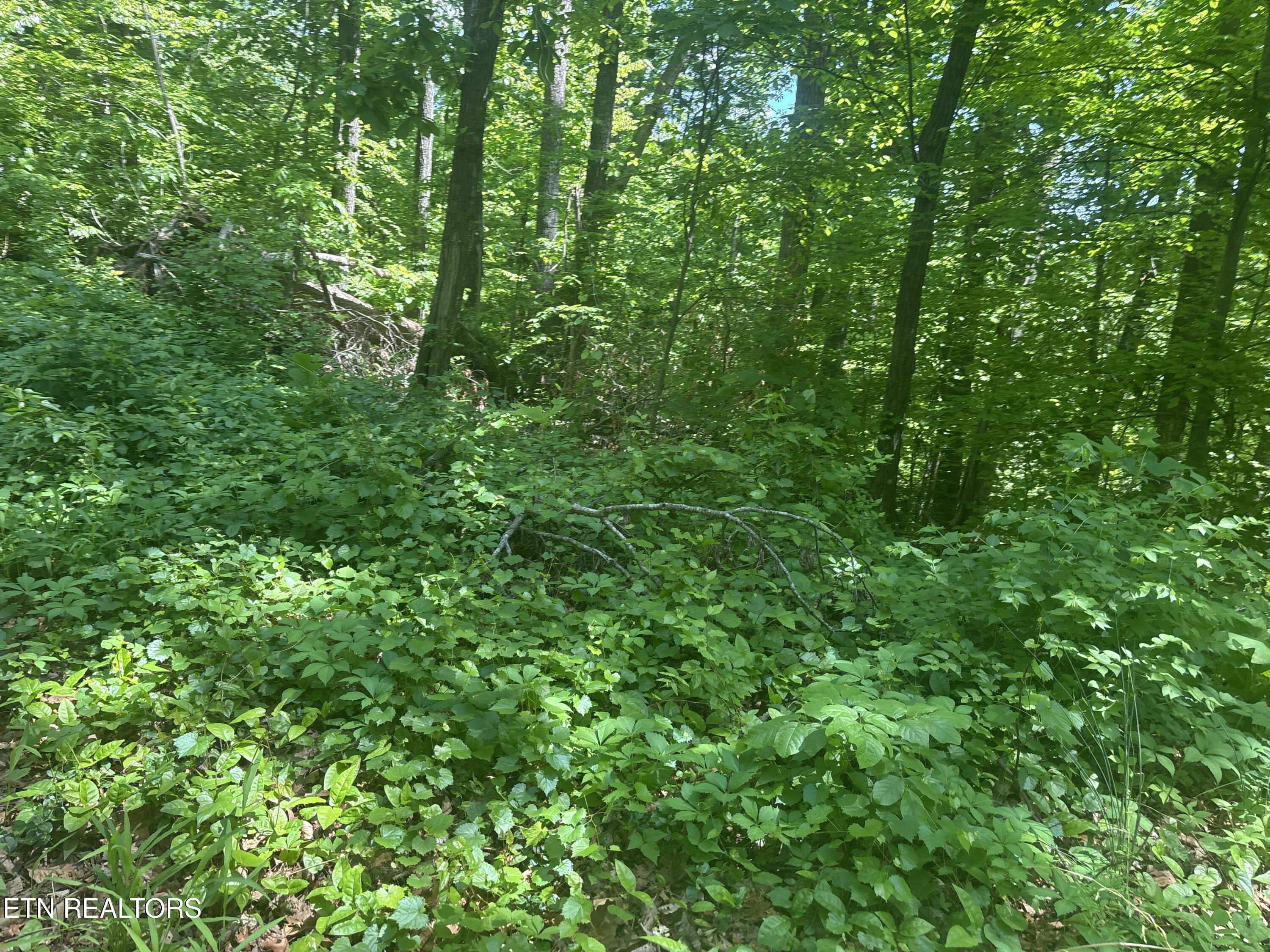 1160 Navy Drive SW Knoxville TN 37920