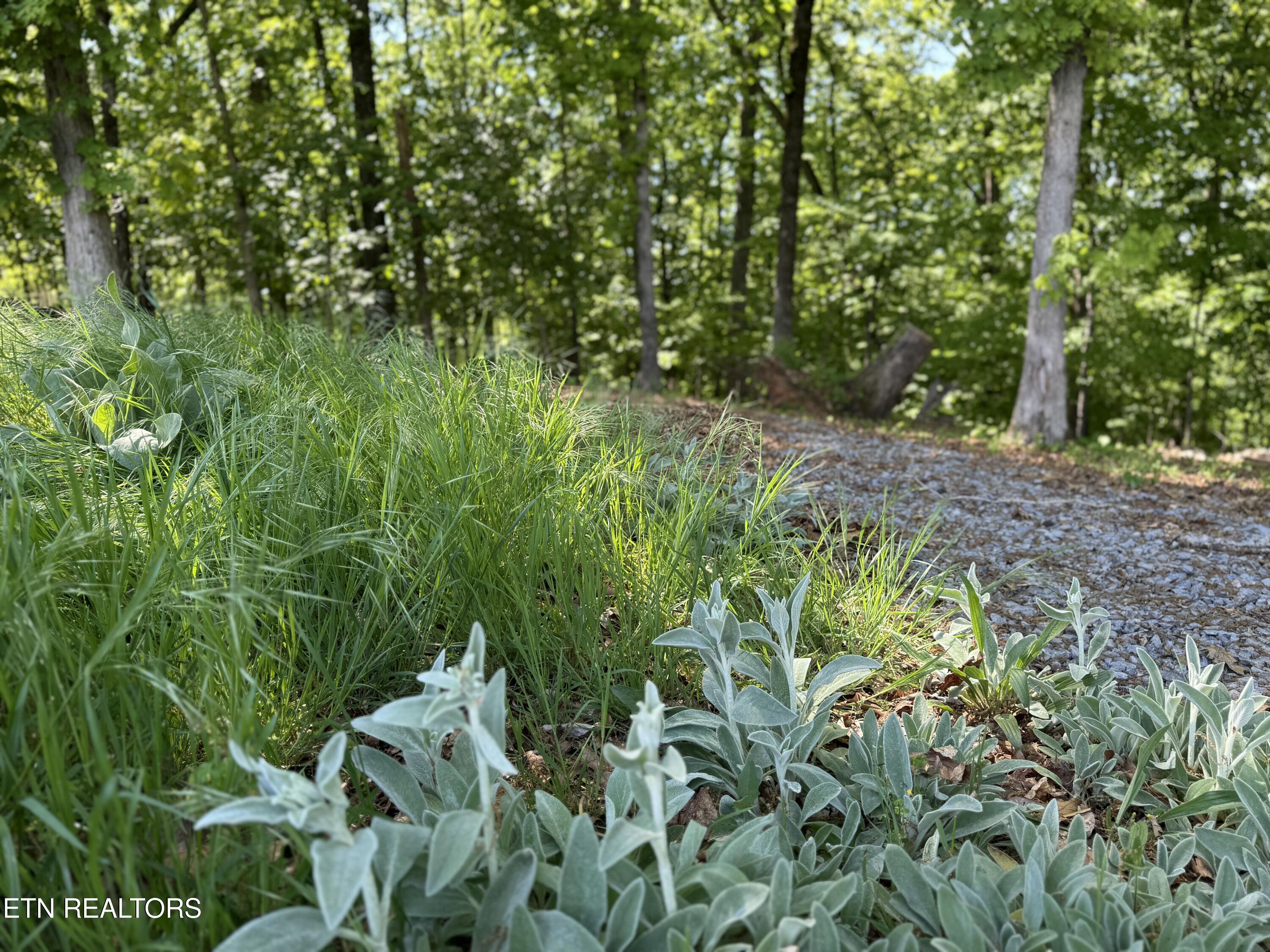 Gravelly Hills/forrest Ridge Louisville TN 37777