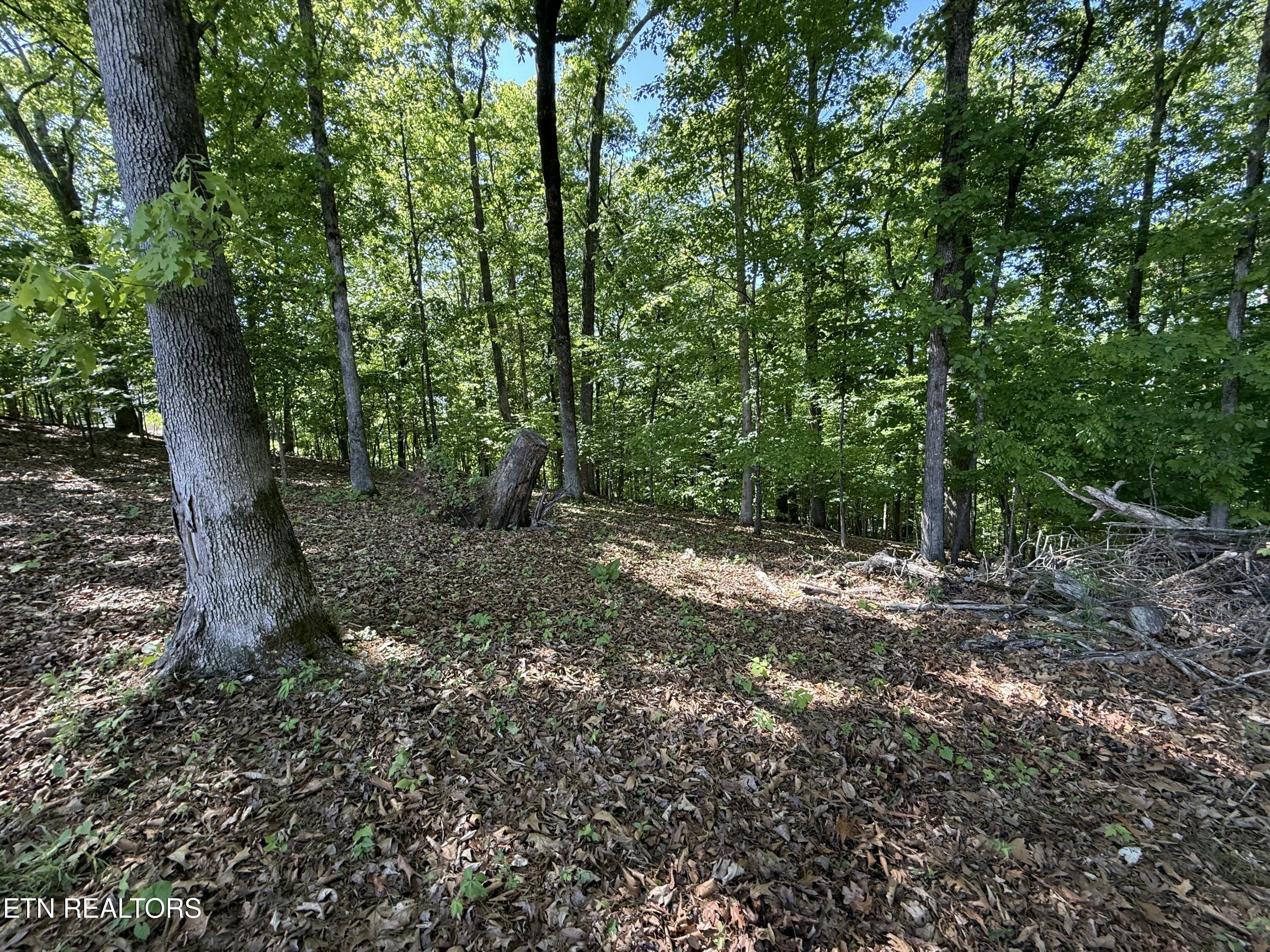 Gravelly Hills/forrest Ridge Louisville TN 37777