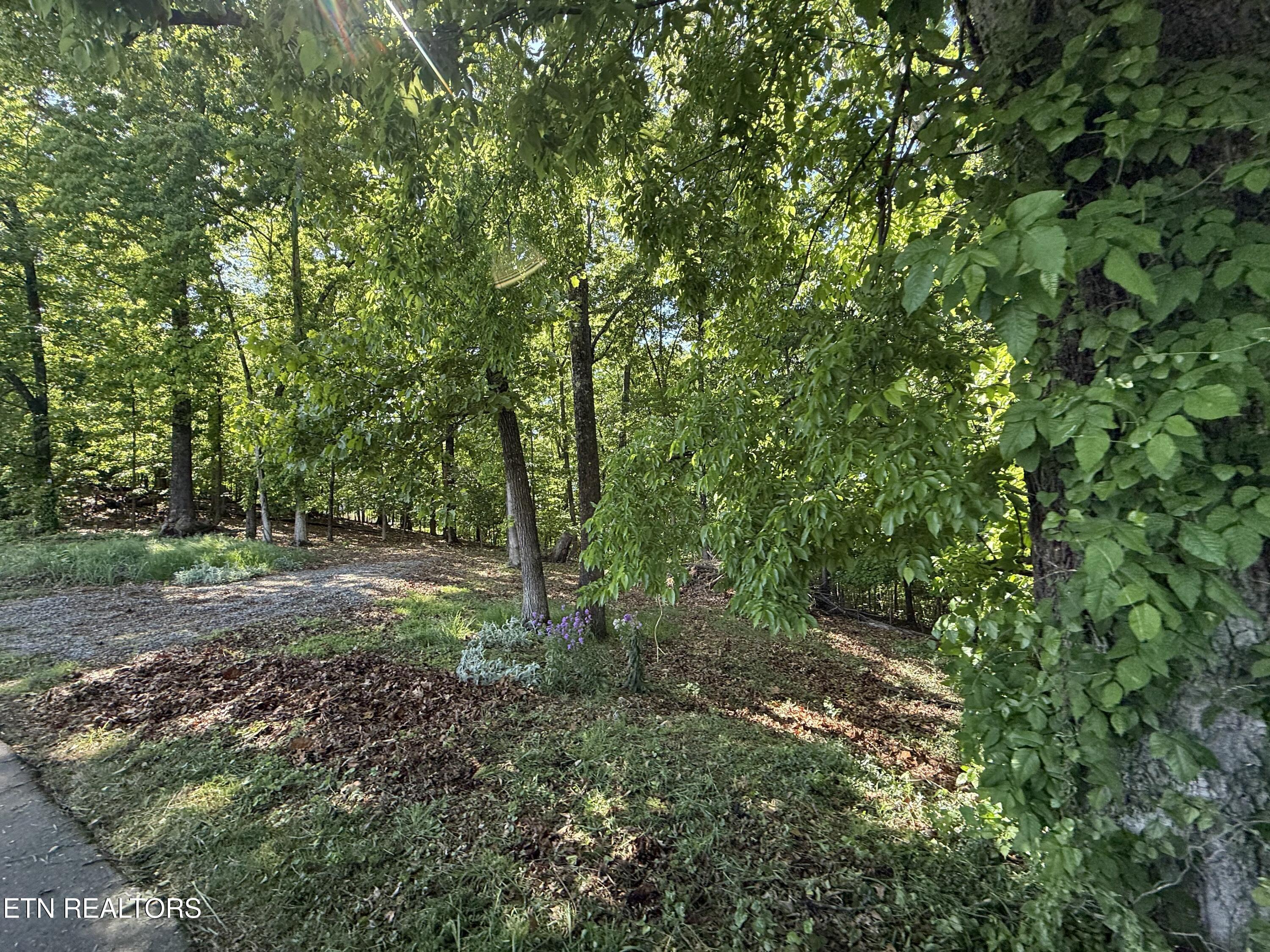 Gravelly Hills/forrest Ridge Louisville TN 37777