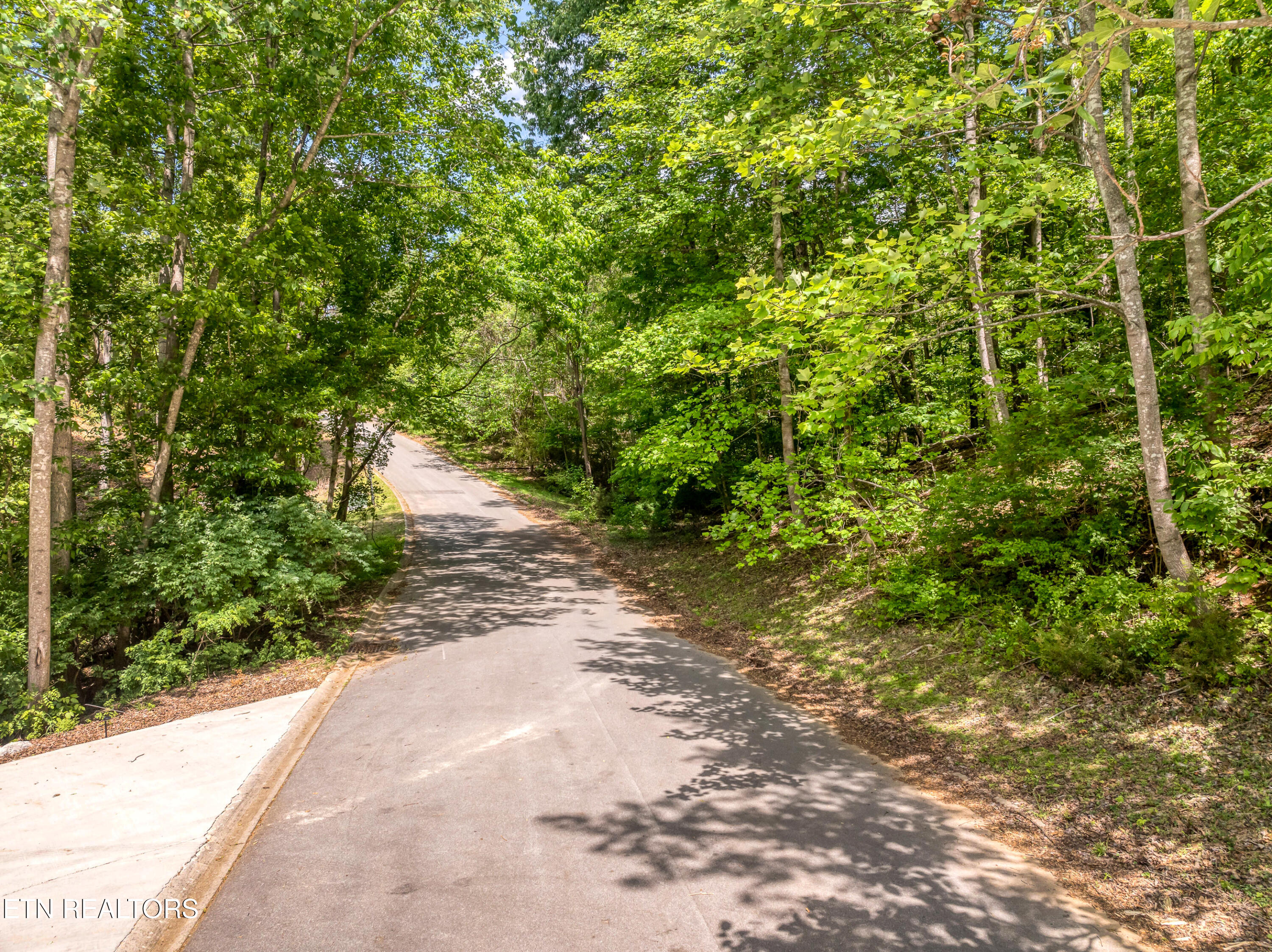 Gravelly Hills/forrest Ridge Louisville TN 37777