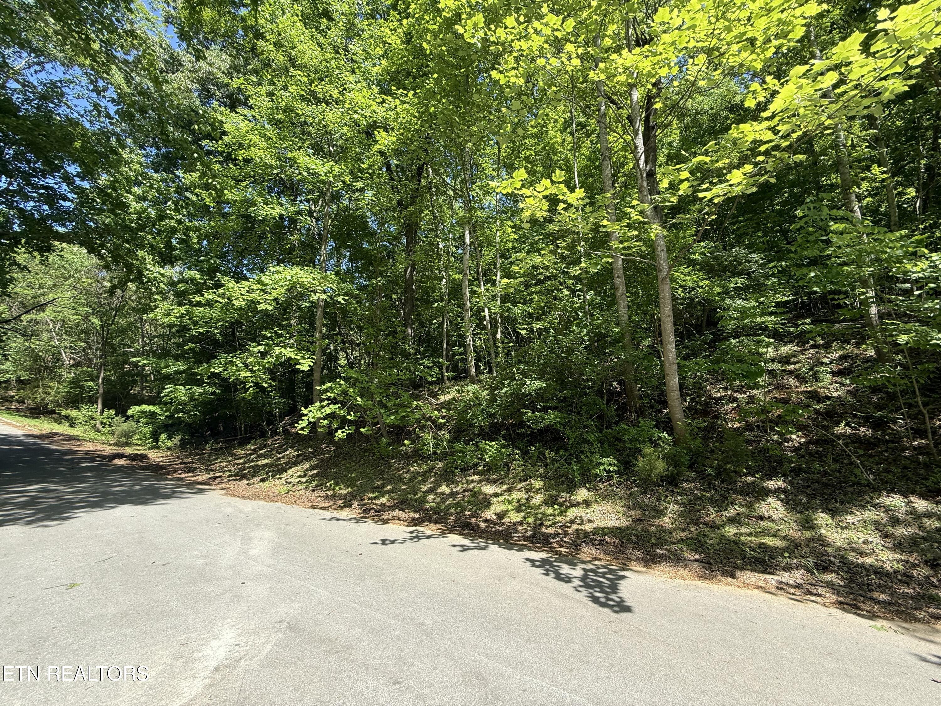 Gravelly Hills/forrest Ridge Louisville TN 37777