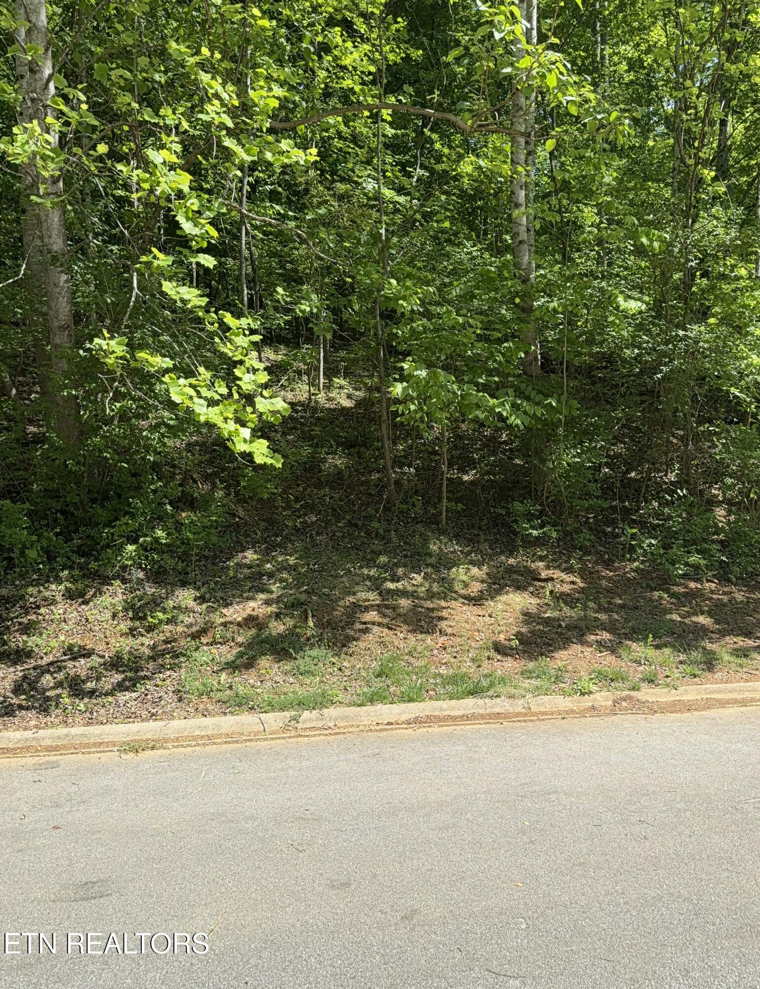 Gravelly Hills/forrest Ridge Louisville TN 37777