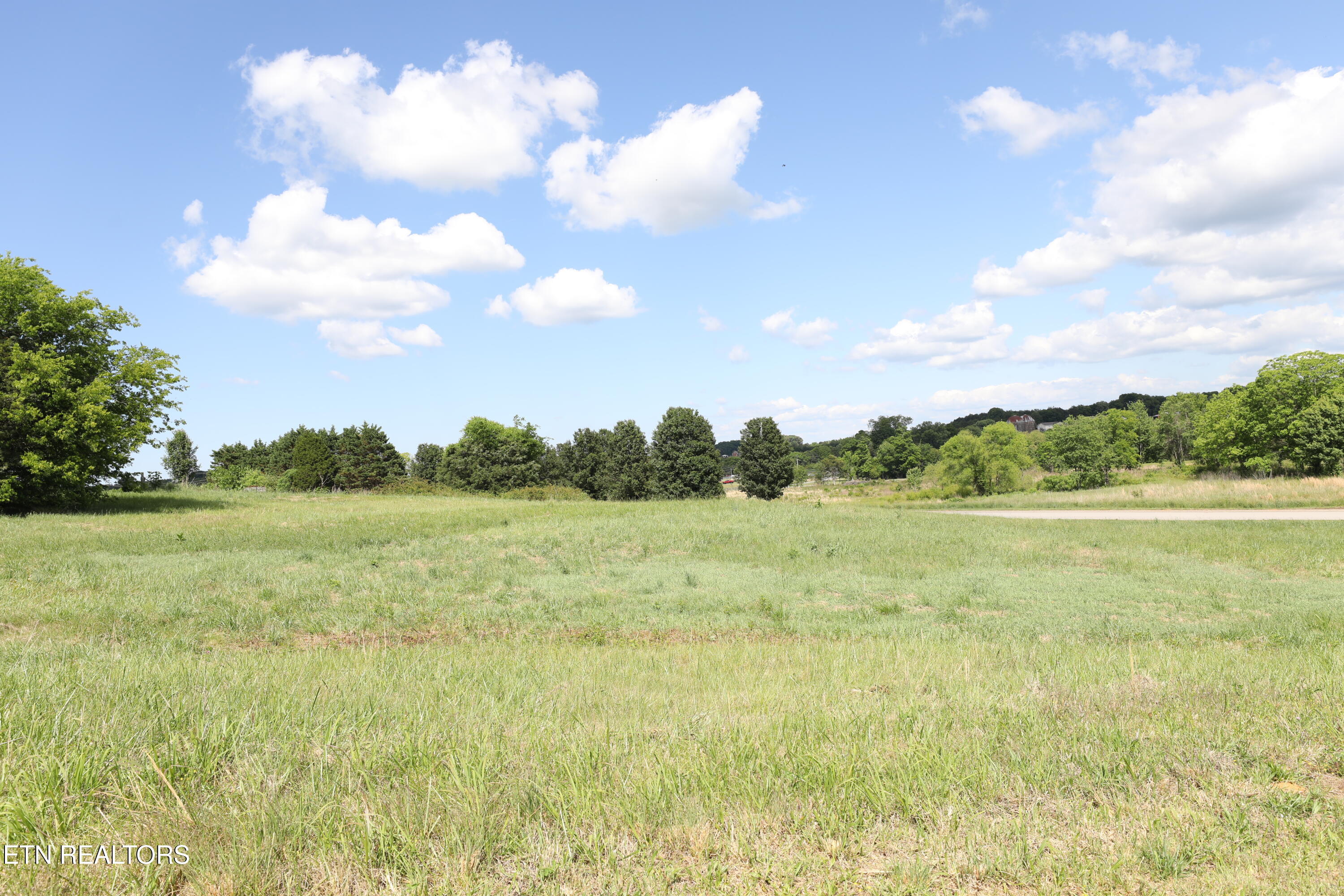 Lot 2 Magnolia Way Madisonville TN 37354
