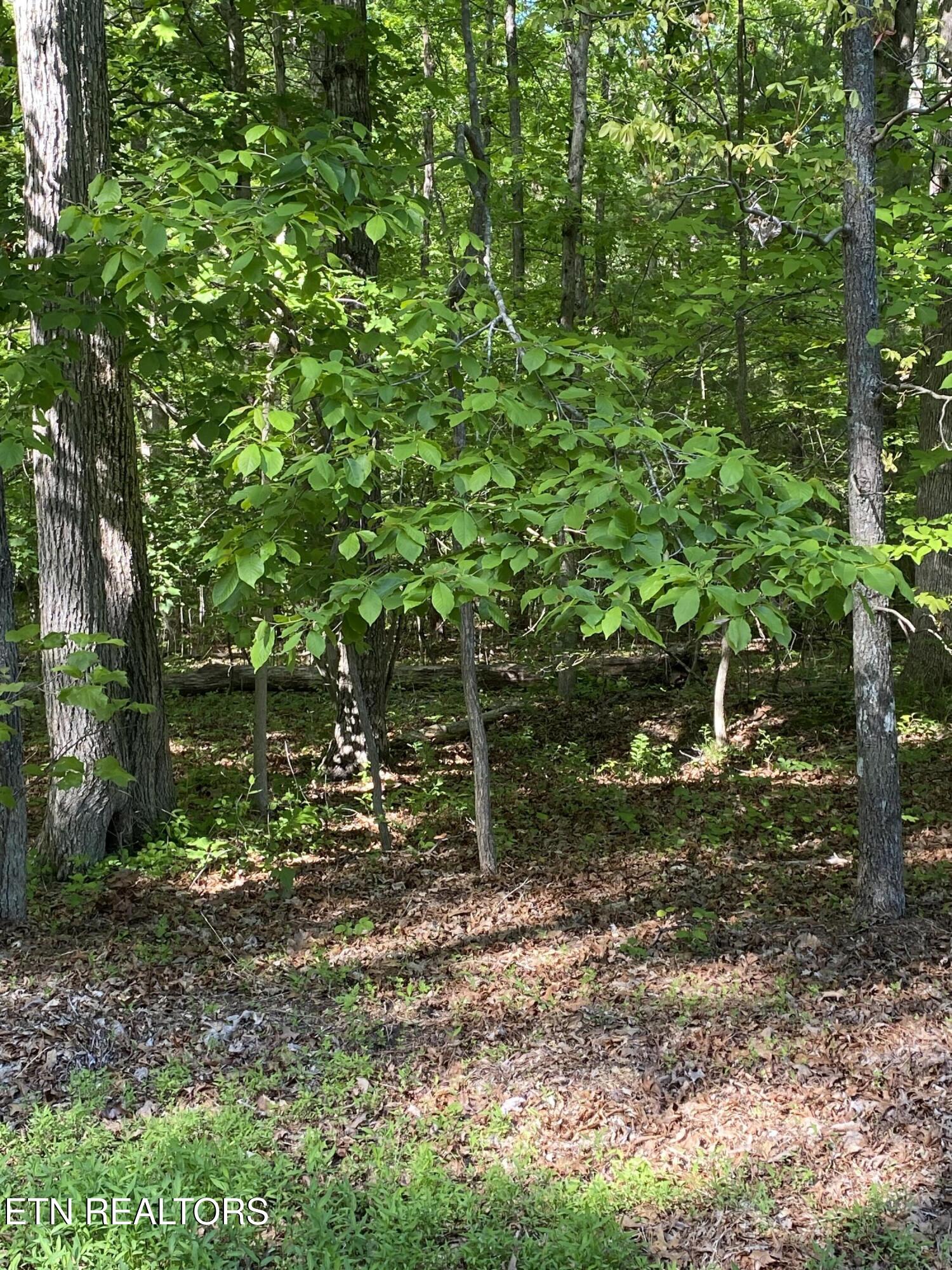 4035 Kila Crossville TN 38572