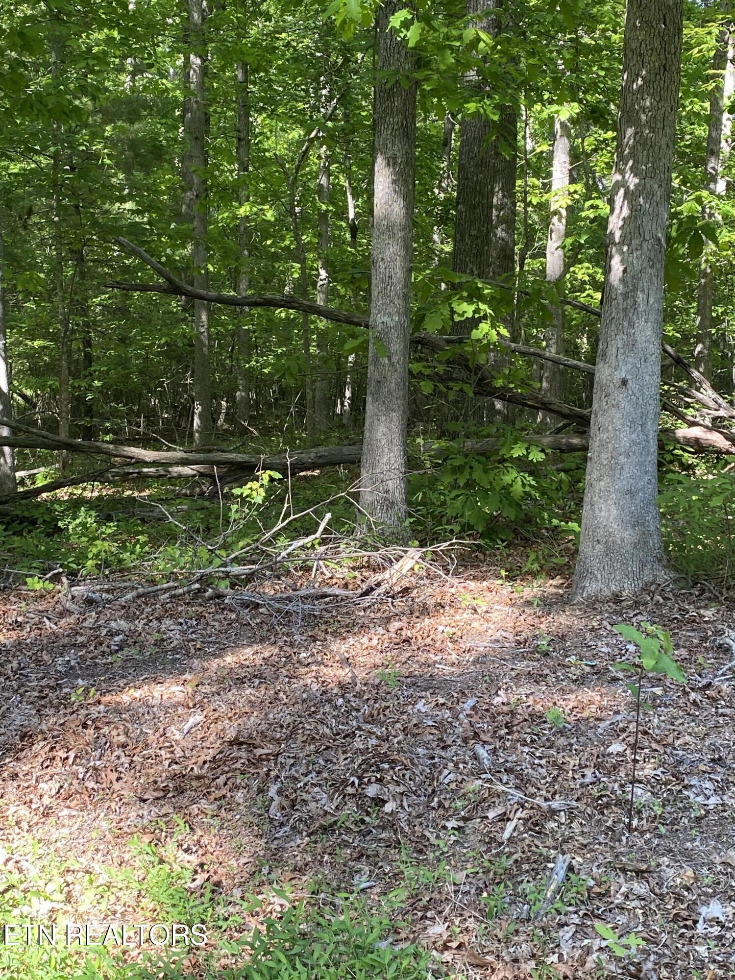 4035 Kila Crossville TN 38572
