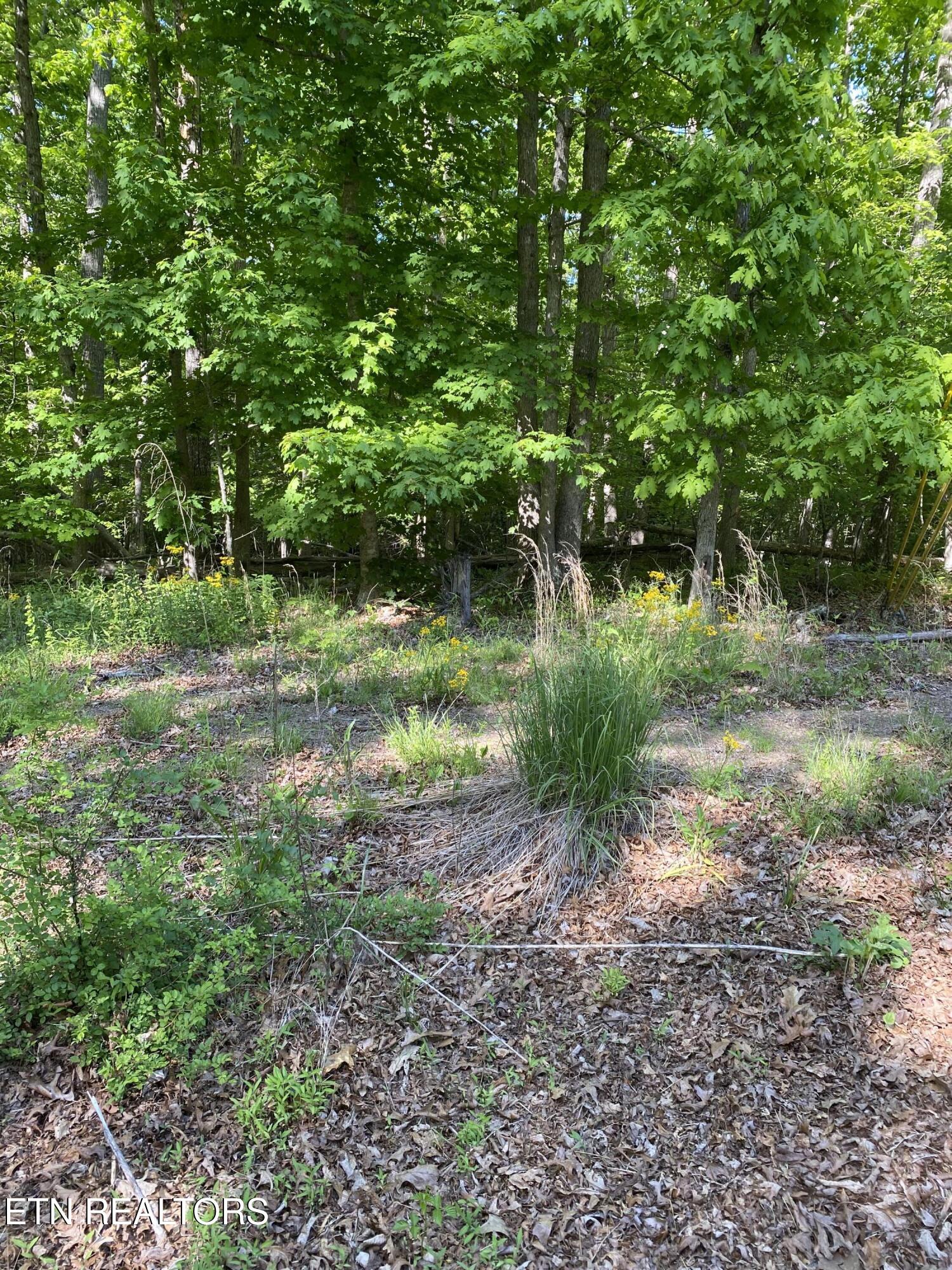 4035 Kila Crossville TN 38572