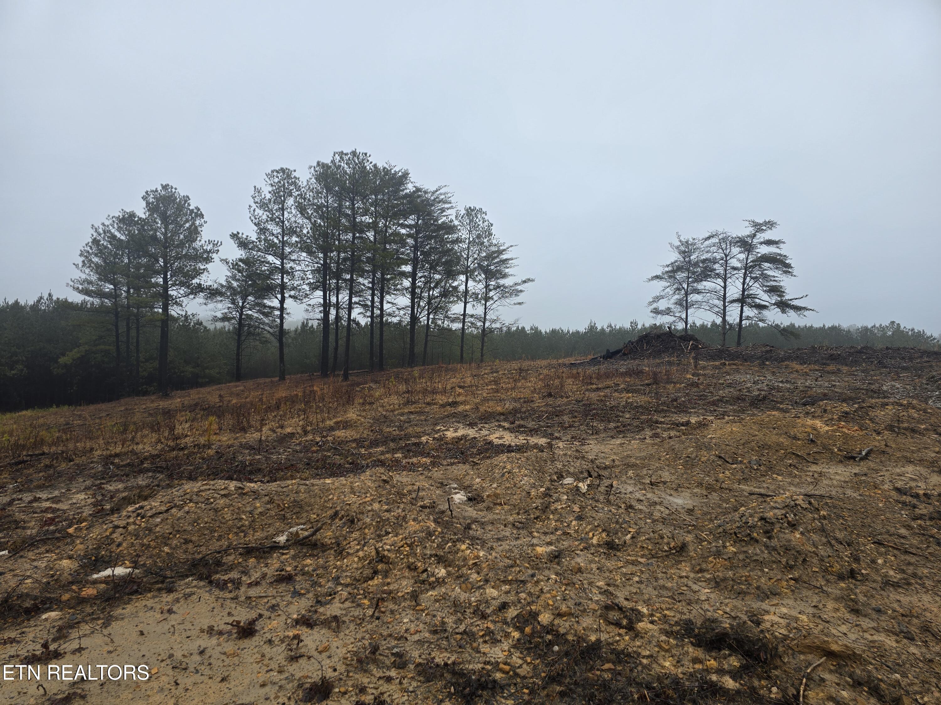 Lot 13 Stirrup Lane Jamestown TN 38556