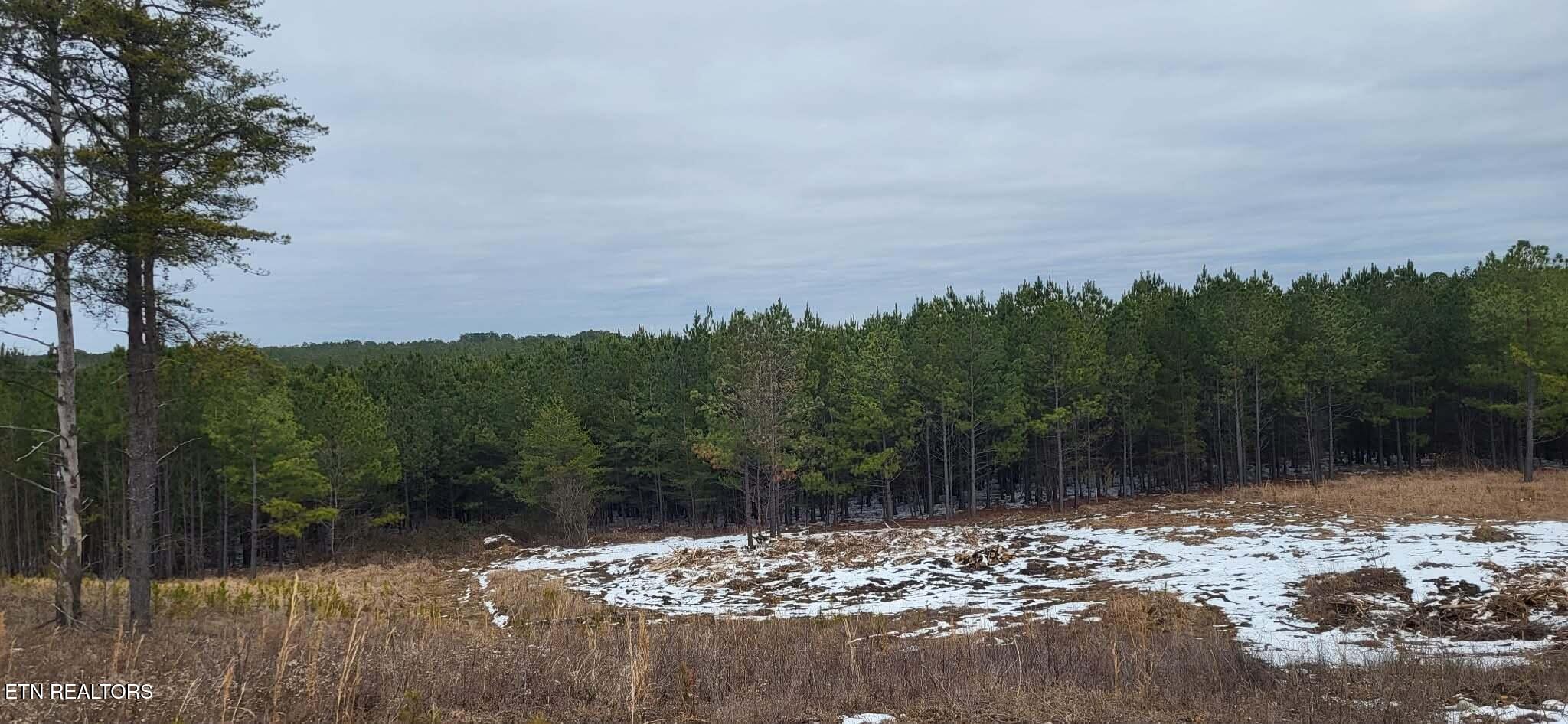 Lot 13 Stirrup Lane Jamestown TN 38556