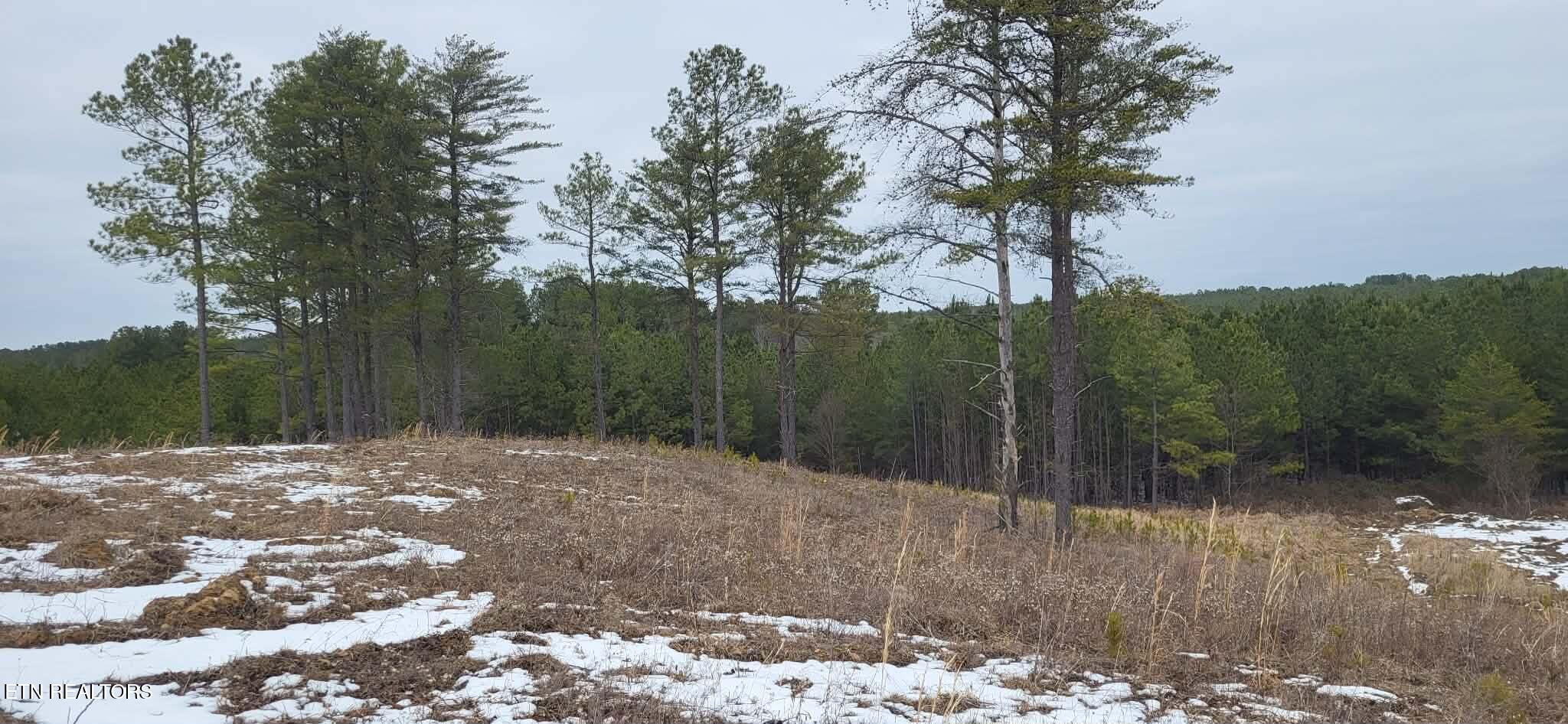 Lot 13 Stirrup Lane Jamestown TN 38556