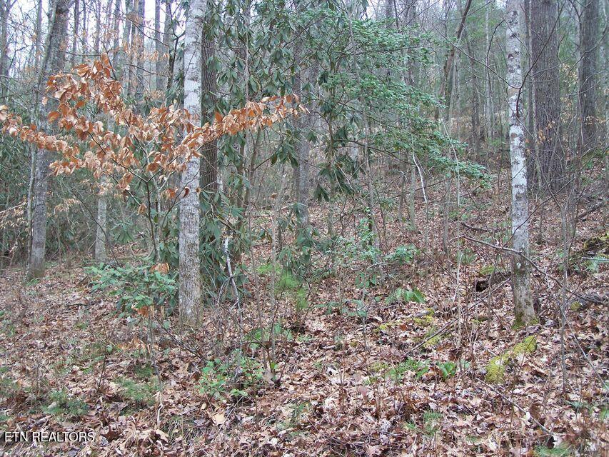 483 Chetola Trail Townsend TN 37882