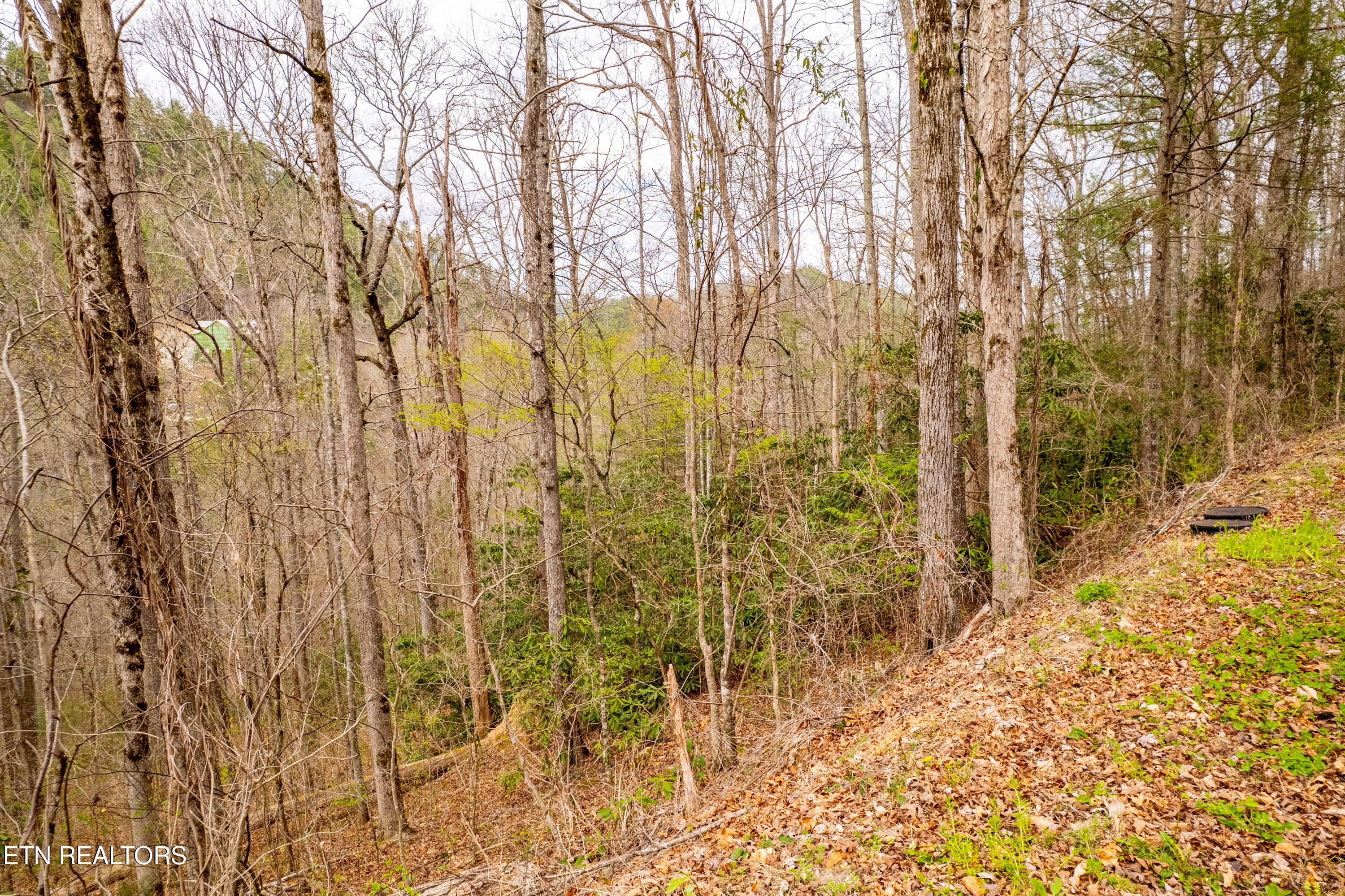 483 Chetola Trail Townsend TN 37882