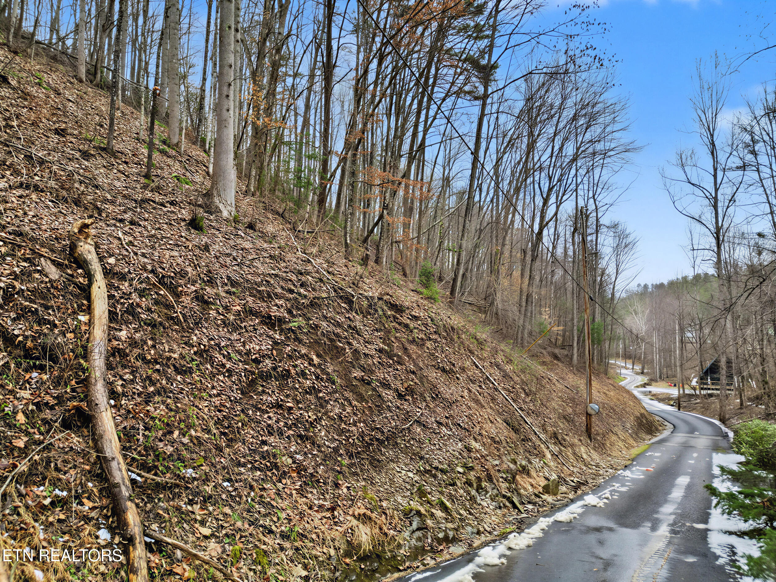Lot 6 Emerald Springs Loop Sevierville TN 37862