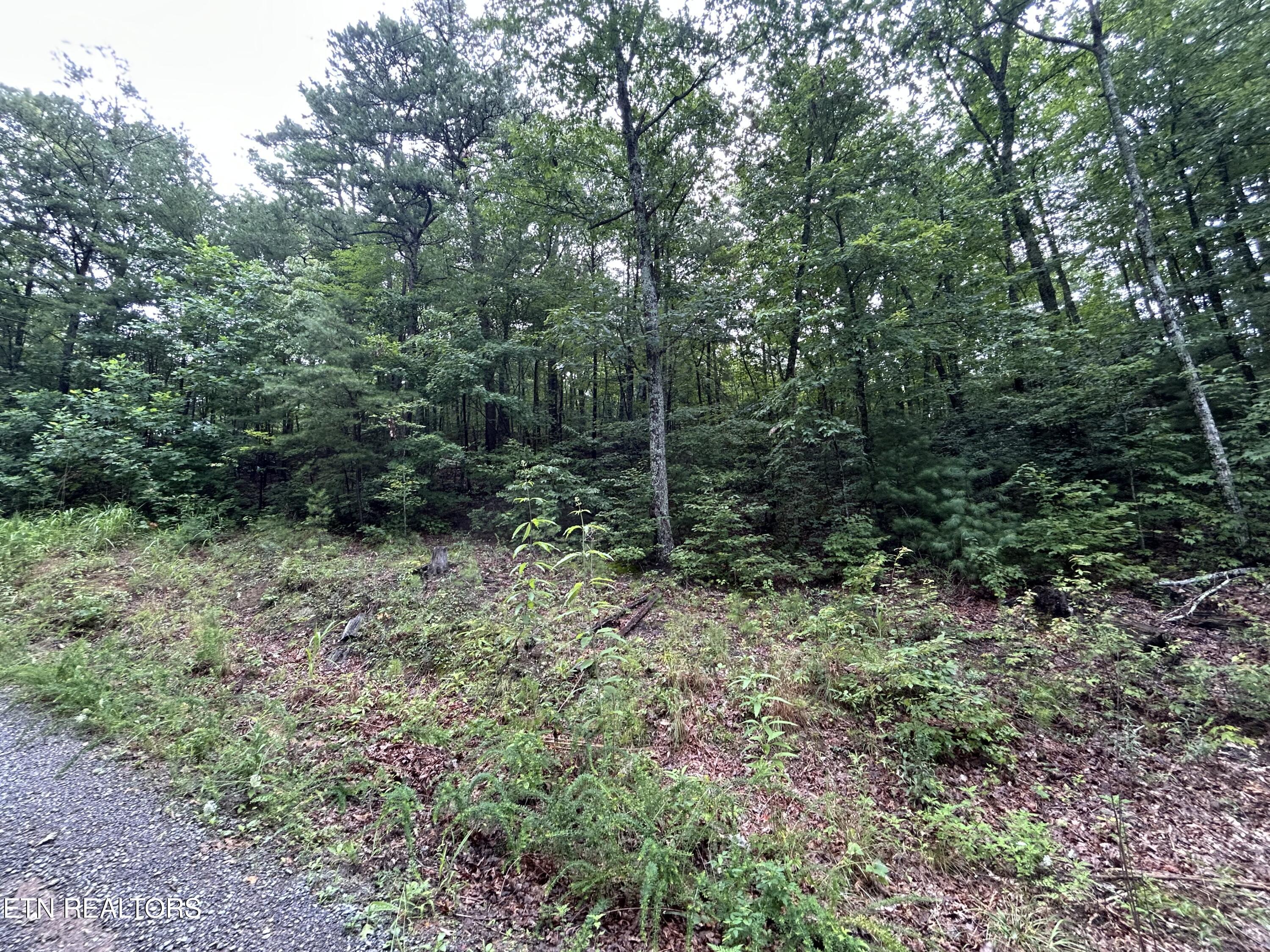 Black Oak Drive Sevierville TN 37876