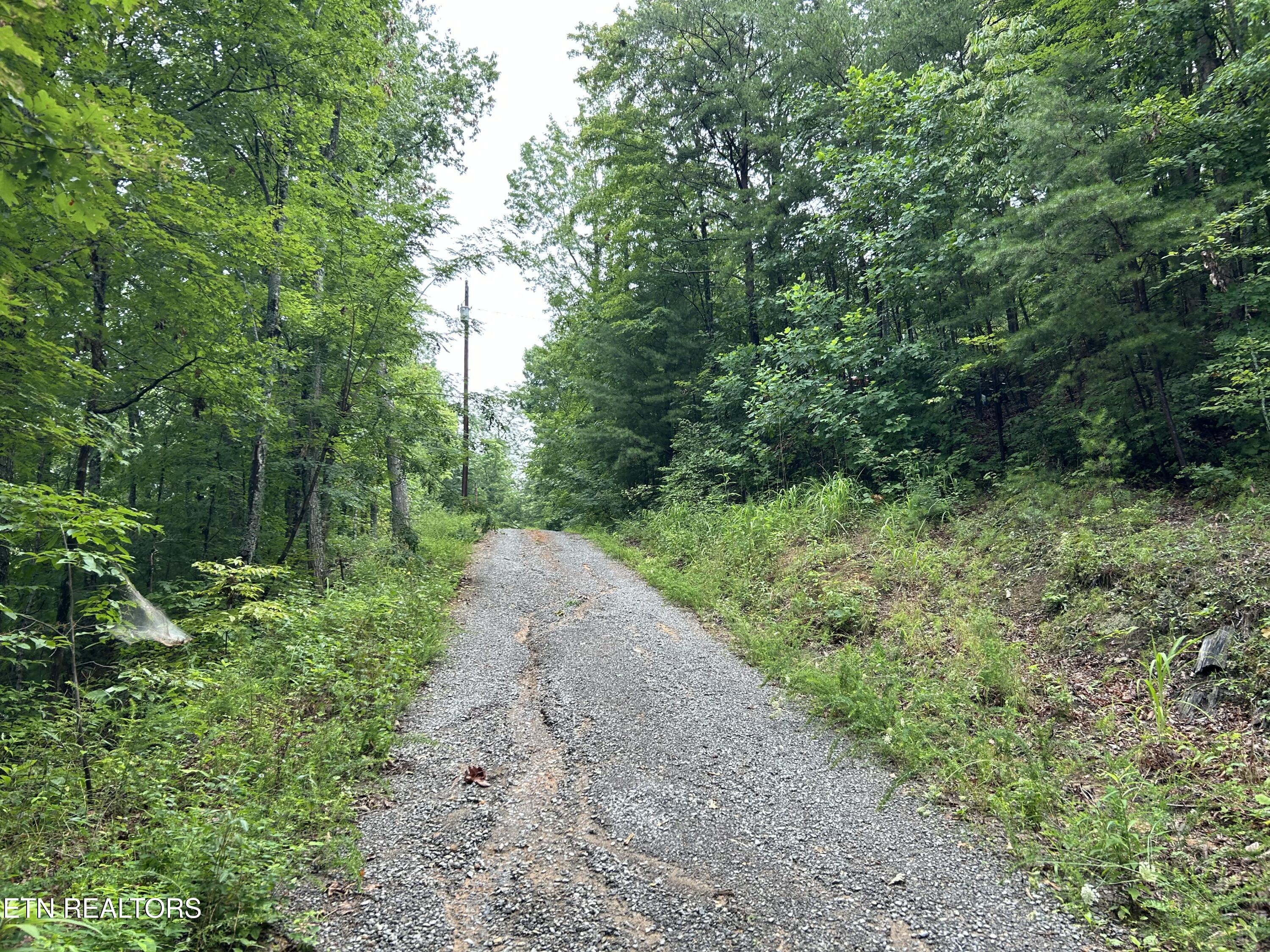 Black Oak Drive Sevierville TN 37876