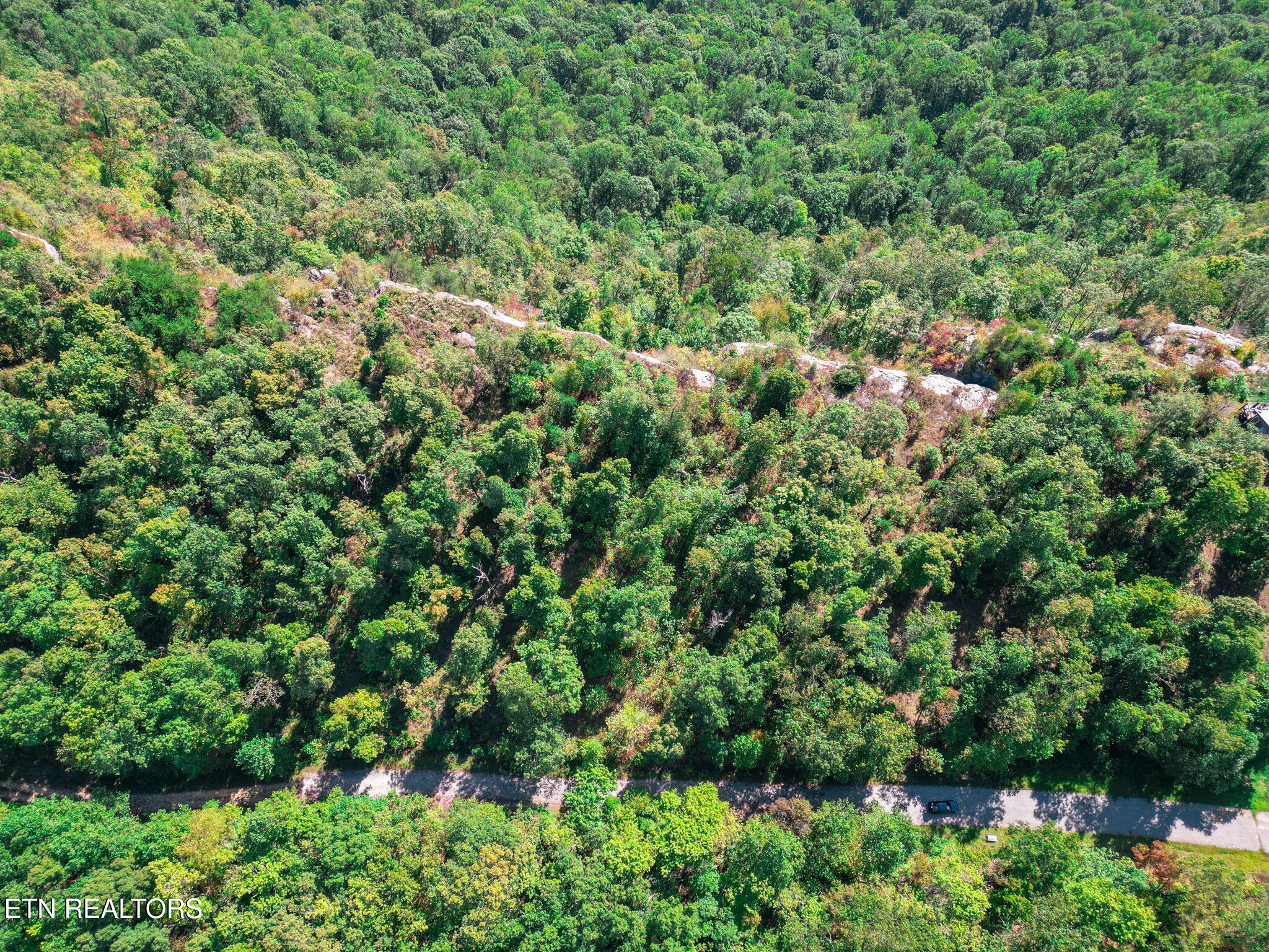 Lot 30 Mount Clouds Trail Duff TN 37729