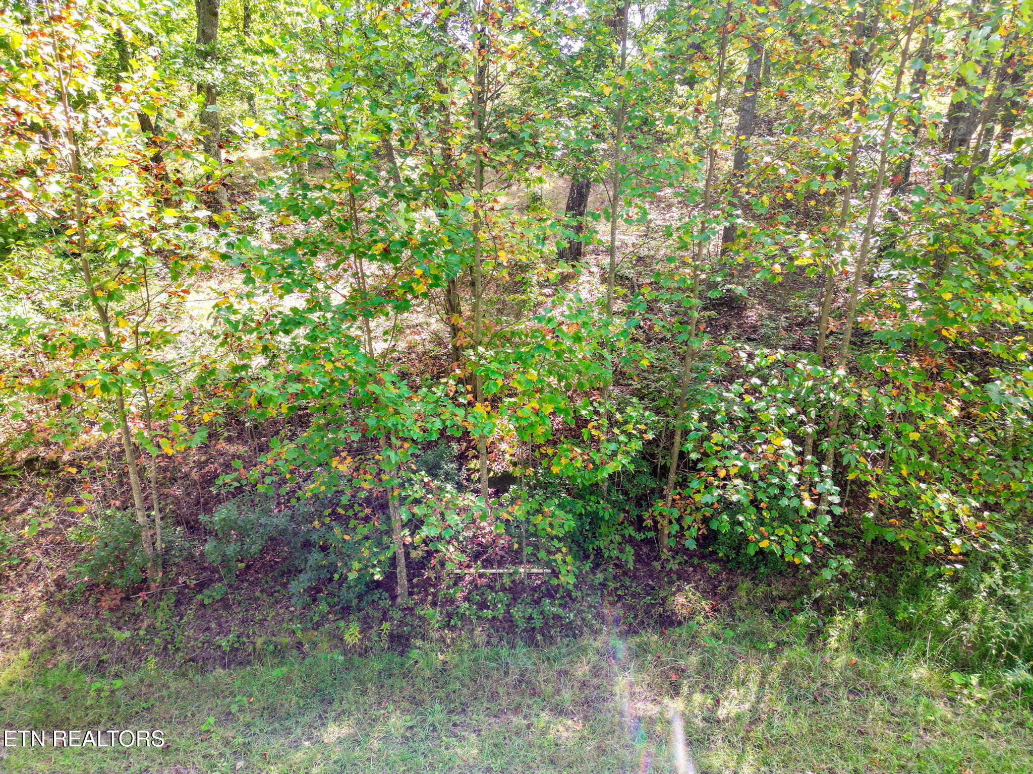 Lot 30 Mount Clouds Trail Duff TN 37729