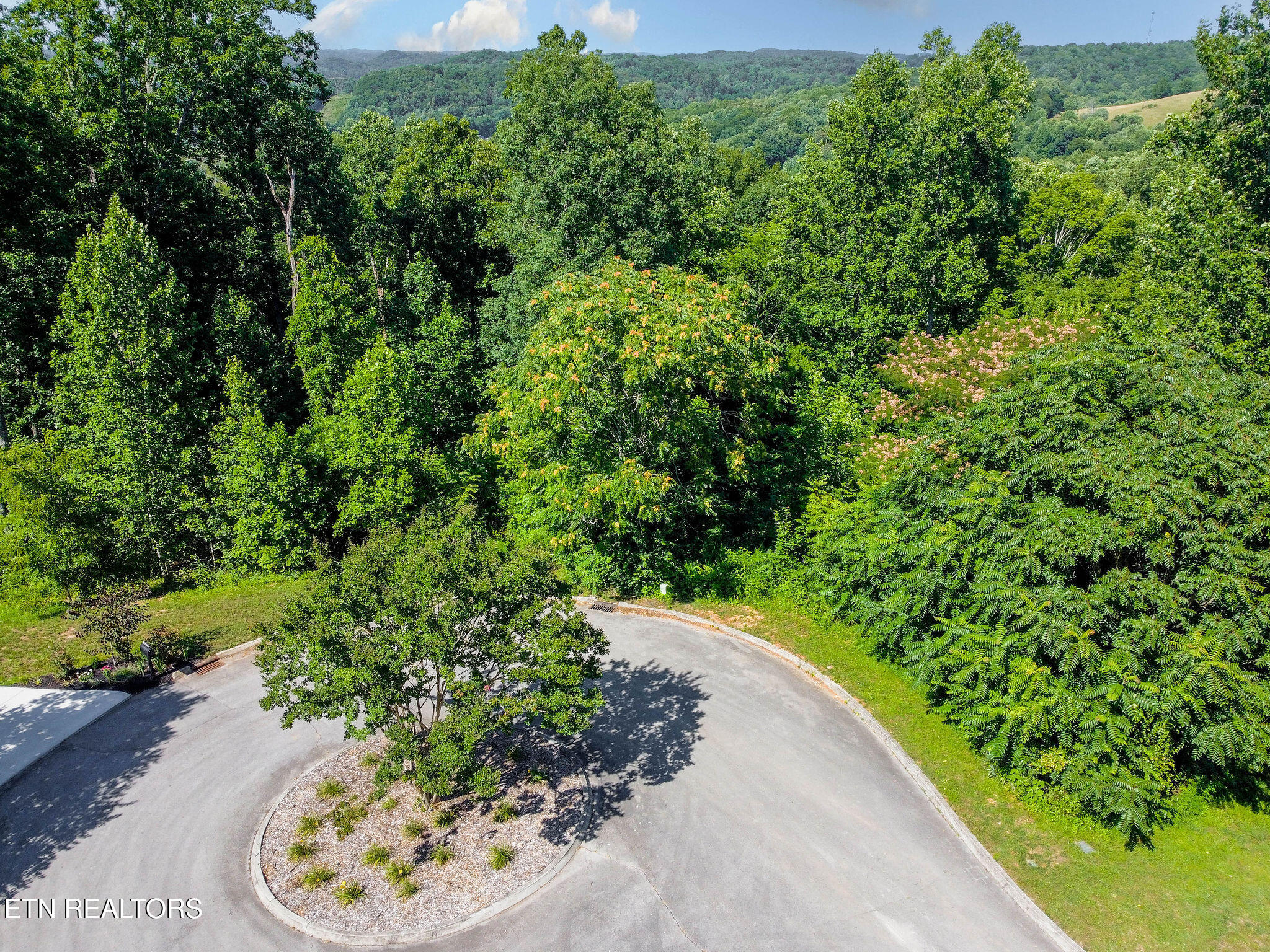Elizabeth Downs Lane Knoxville TN 37931