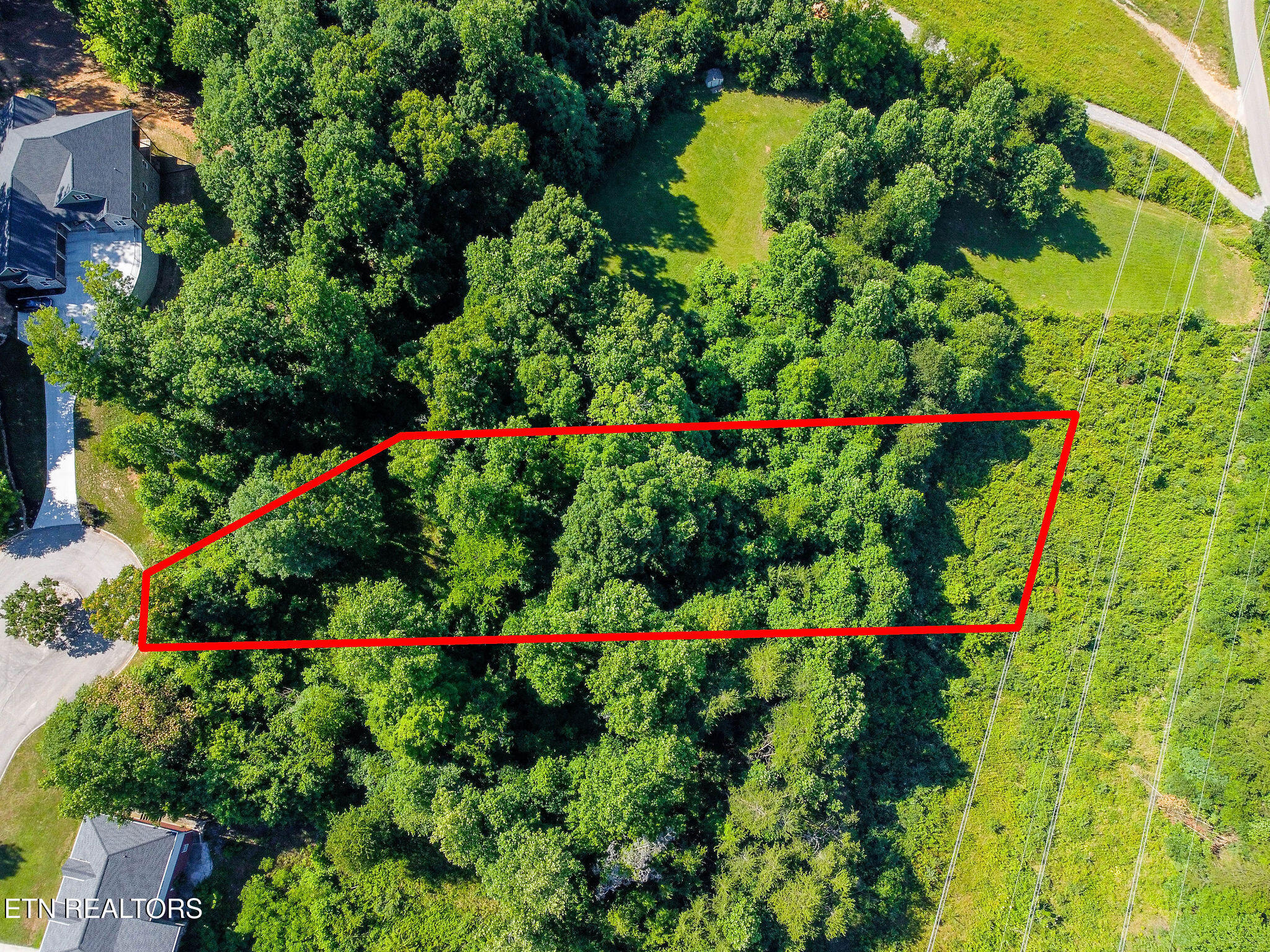Elizabeth Downs Lane Knoxville TN 37931